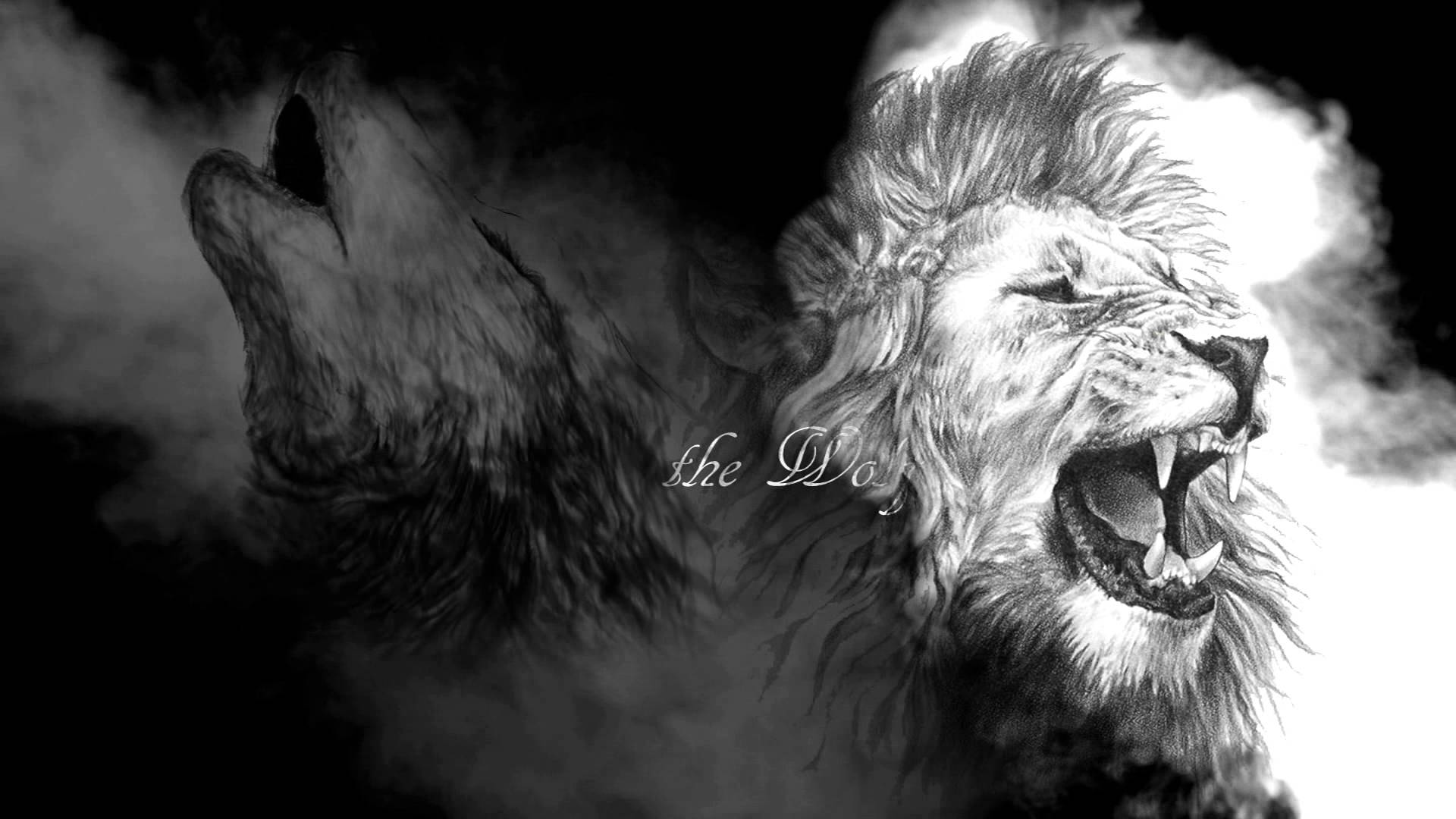 Free download Lionwolf Lionwolf updated their cover photo [1920x1080] for your Desktop, Mobile & Tablet. Explore Wolf and Lion Wallpaper. Lion Wallpaper, Spice and Wolf Wallpaper, Black and White Lion Wallpaper
