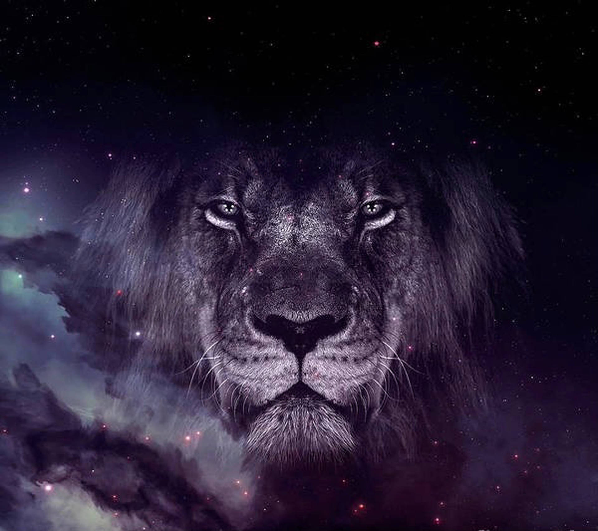 Download Monochrome Galaxy Lion Wallpaper