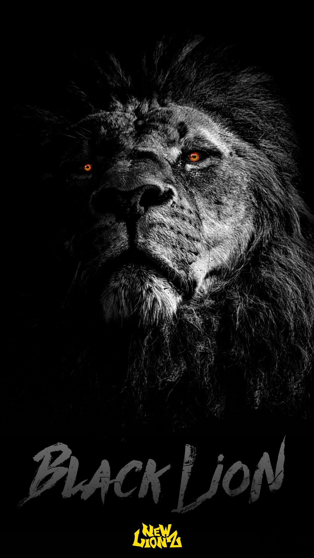 Black Lion (NewLionz) IPhone Android Wallpaper. Lion Picture, Lion Photography, Lion Live Wallpaper