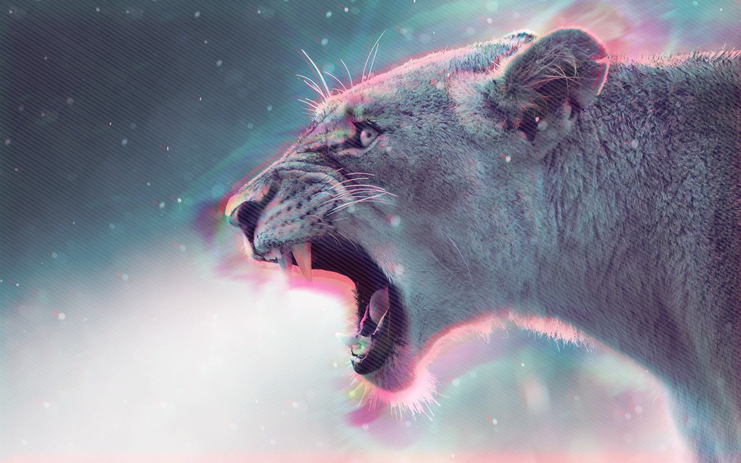 lion, Lions Wallpaper HD / Desktop and Mobile Background