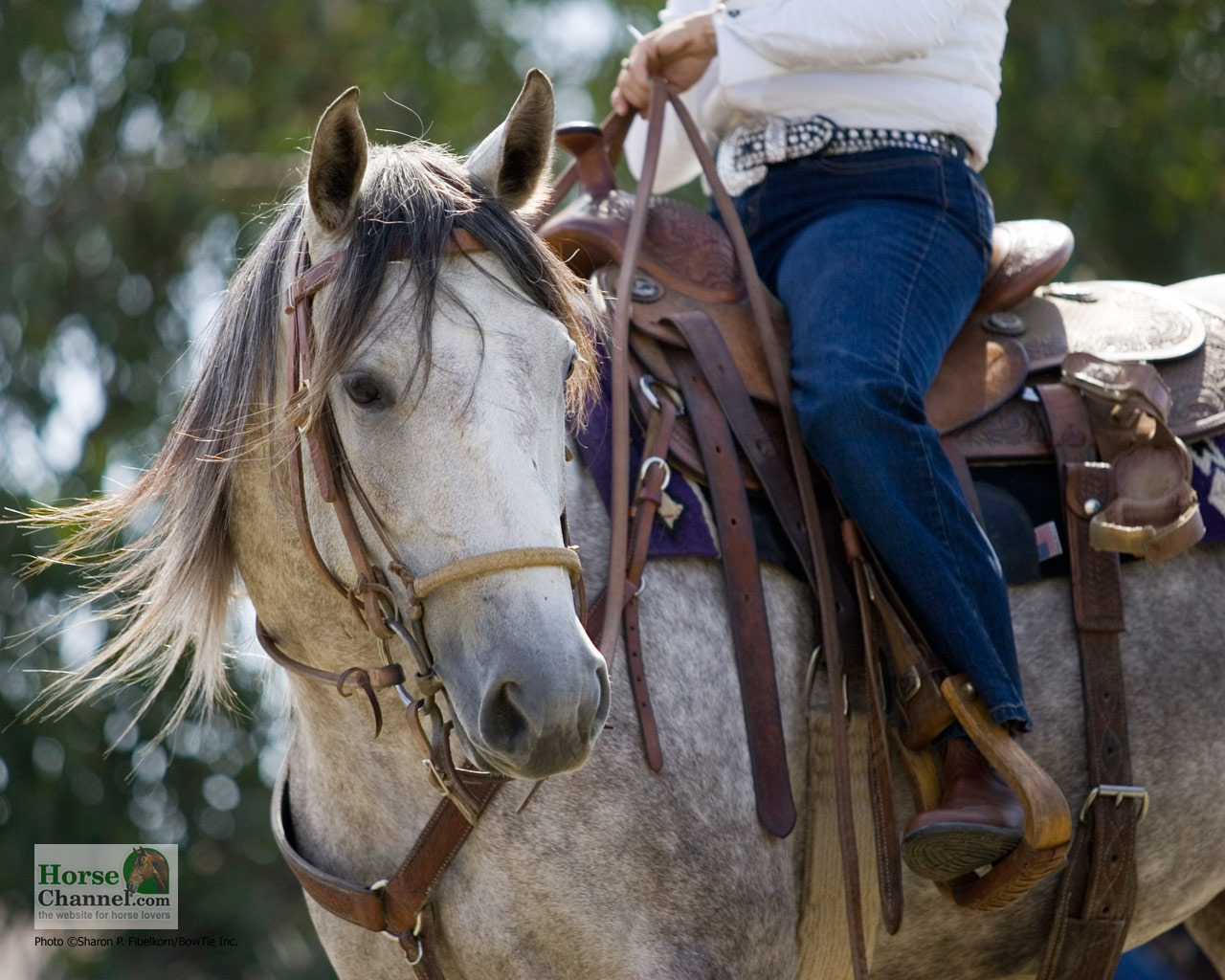 Horse Ranch Wallpaper