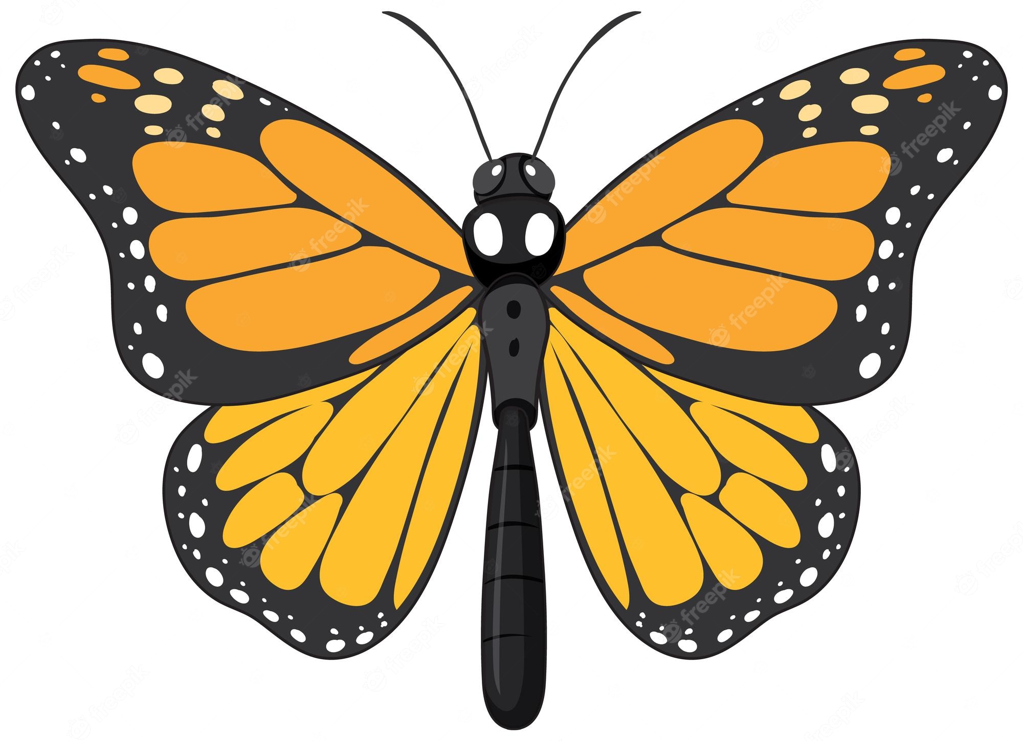 Monarch Butterfly Cartoon Image