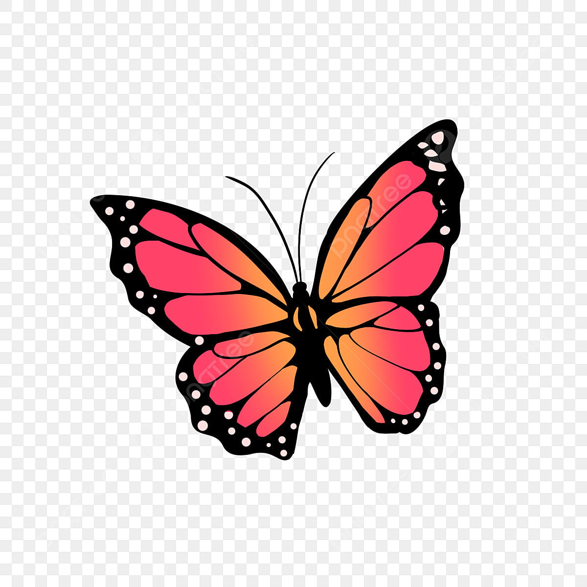 Monarch Butterfly PNG Transparent Image Free Download