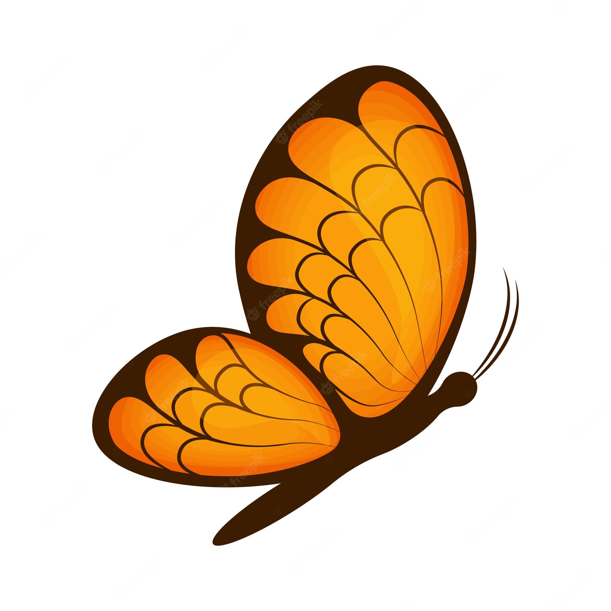 Monarch Butterfly Cartoon Image