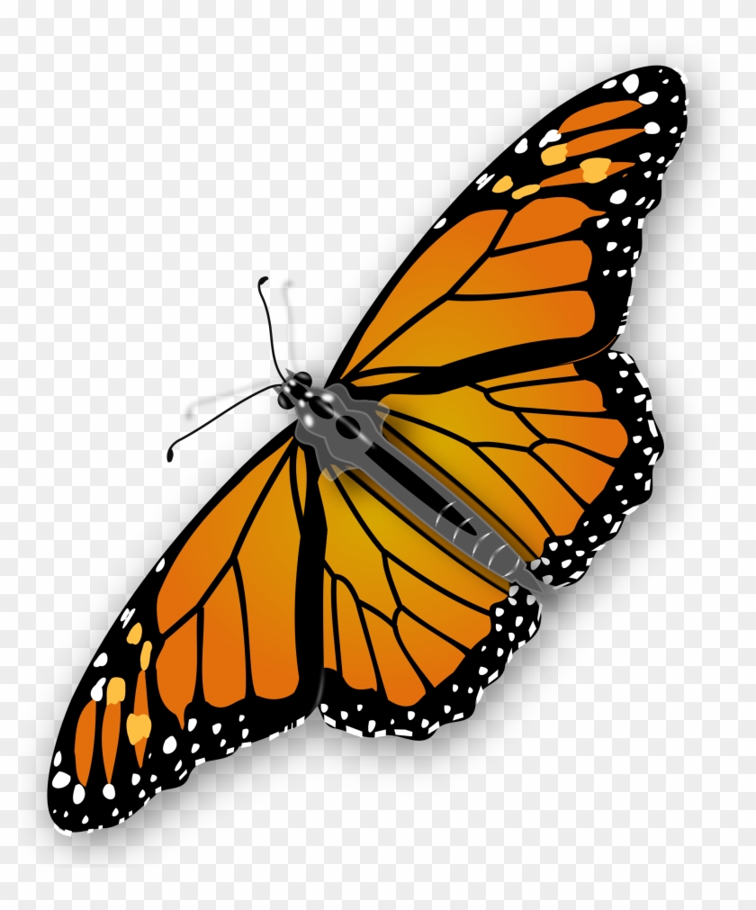 Clip Art Monarch Butterfly Clipart No Background Transparent PNG Clipart Image Download