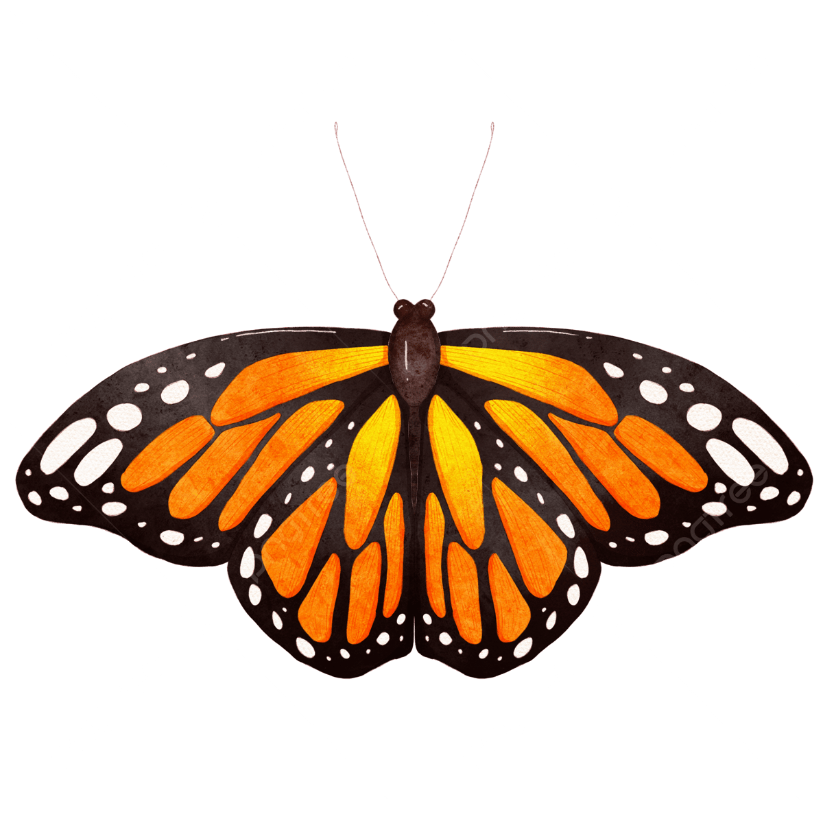 Blue Monarch Butterfly Clipart Vector, Watercolor Monarch Butterfly, Watercolor, Monarch Butterfly, Butterfly PNG Image For Free Download