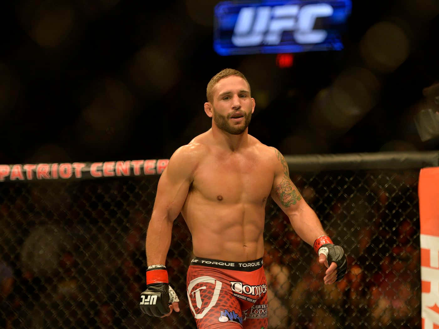 Chad Mendes Wallpapers - Wallpaper Cave