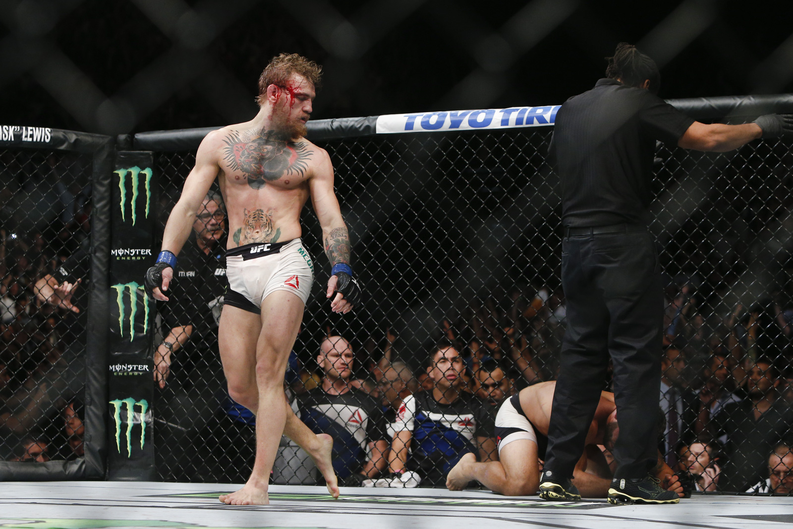 UFC 189 photo