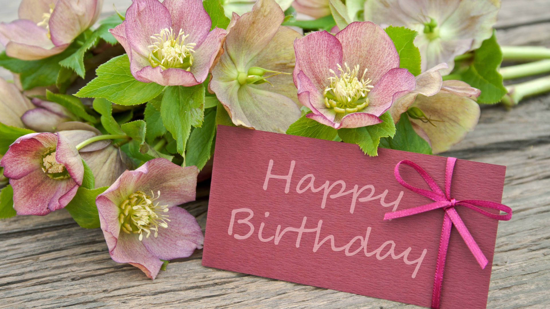 Download Happy Birthday Flower With Greeting Card Wallpaper