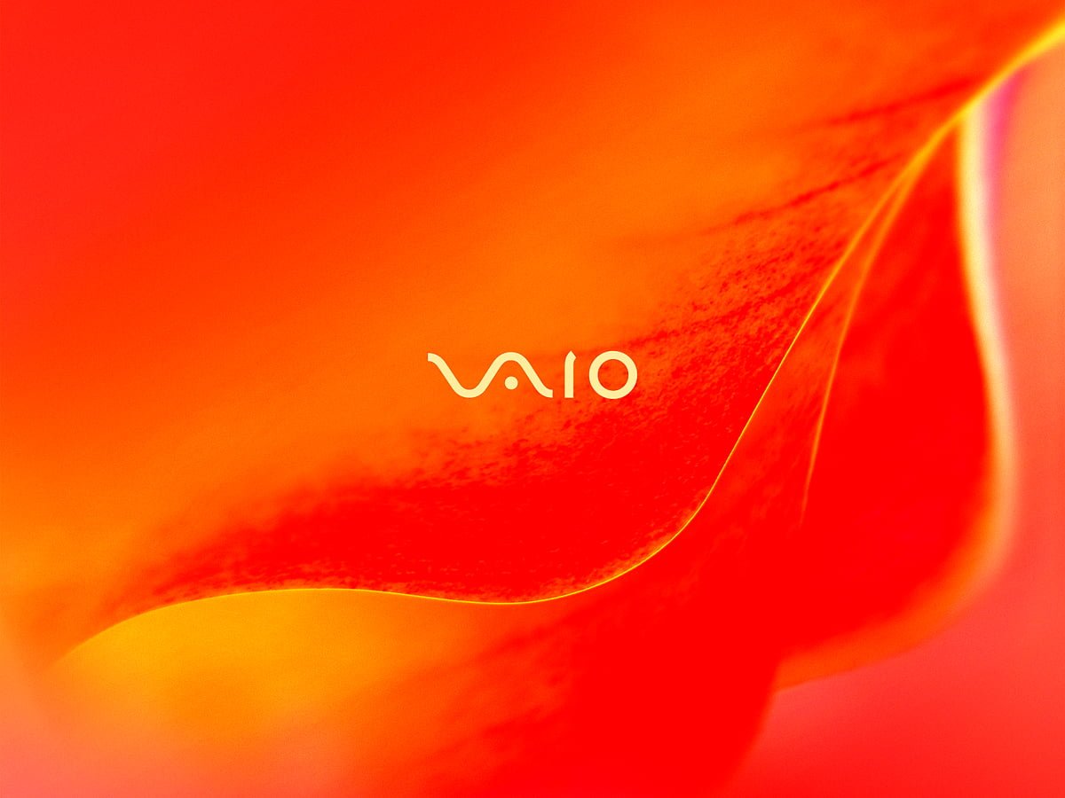 Sony Vaio, Orange, Abstract wallpaper. TOP Free Download picture