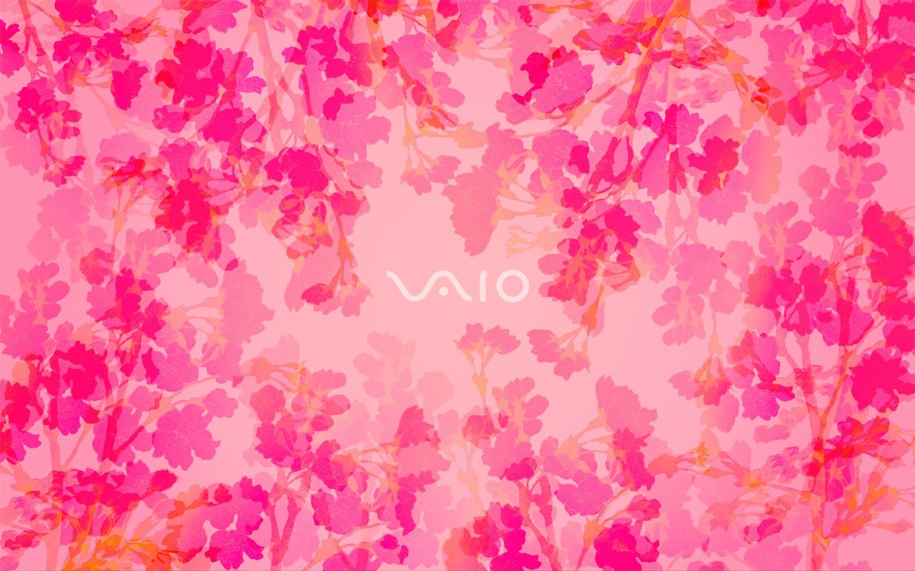 Sony, pink, VAIO, leaves Gallery HD Wallpaper