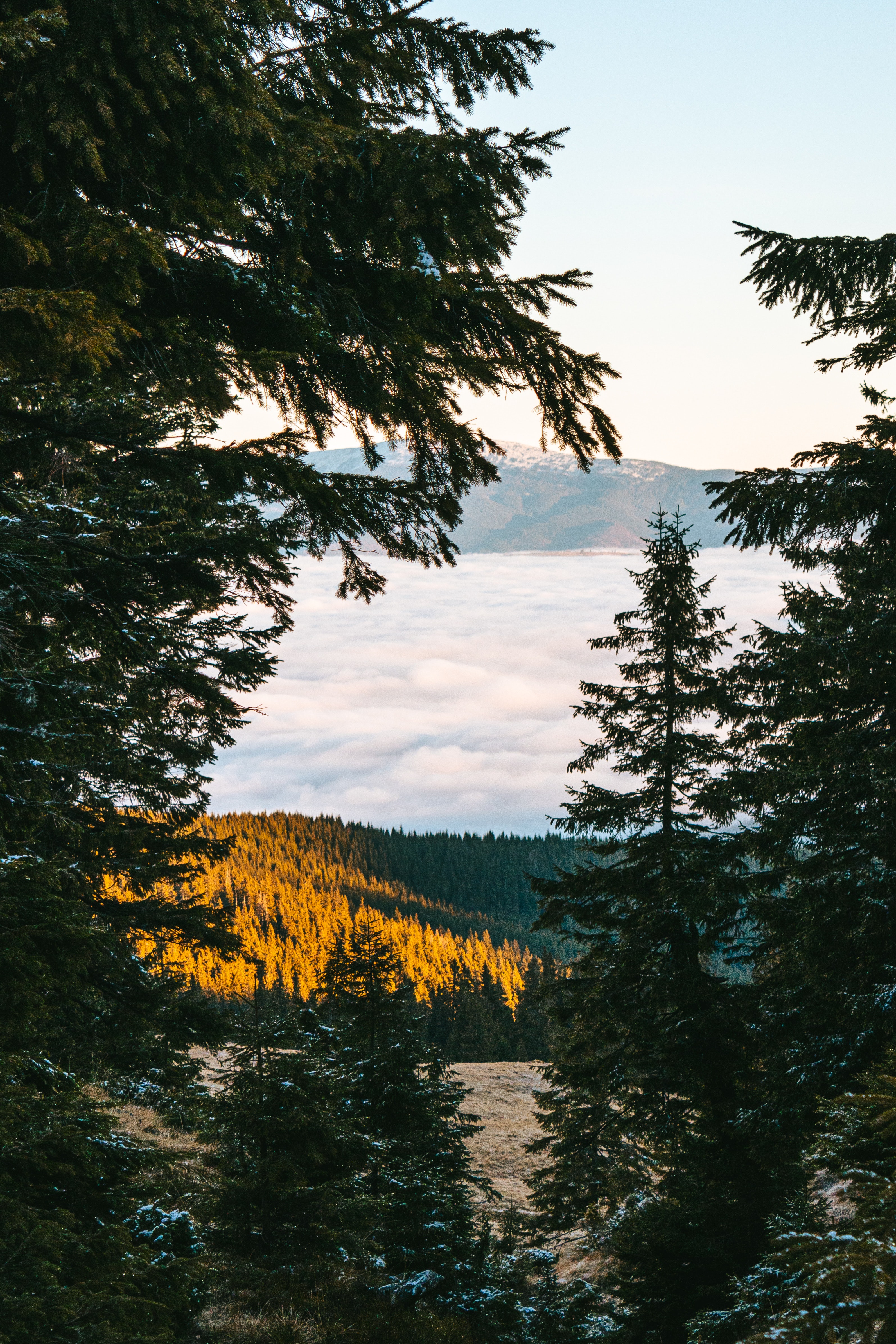 Carpathian Mountains Photo, Download The BEST Free Carpathian Mountains & HD Image