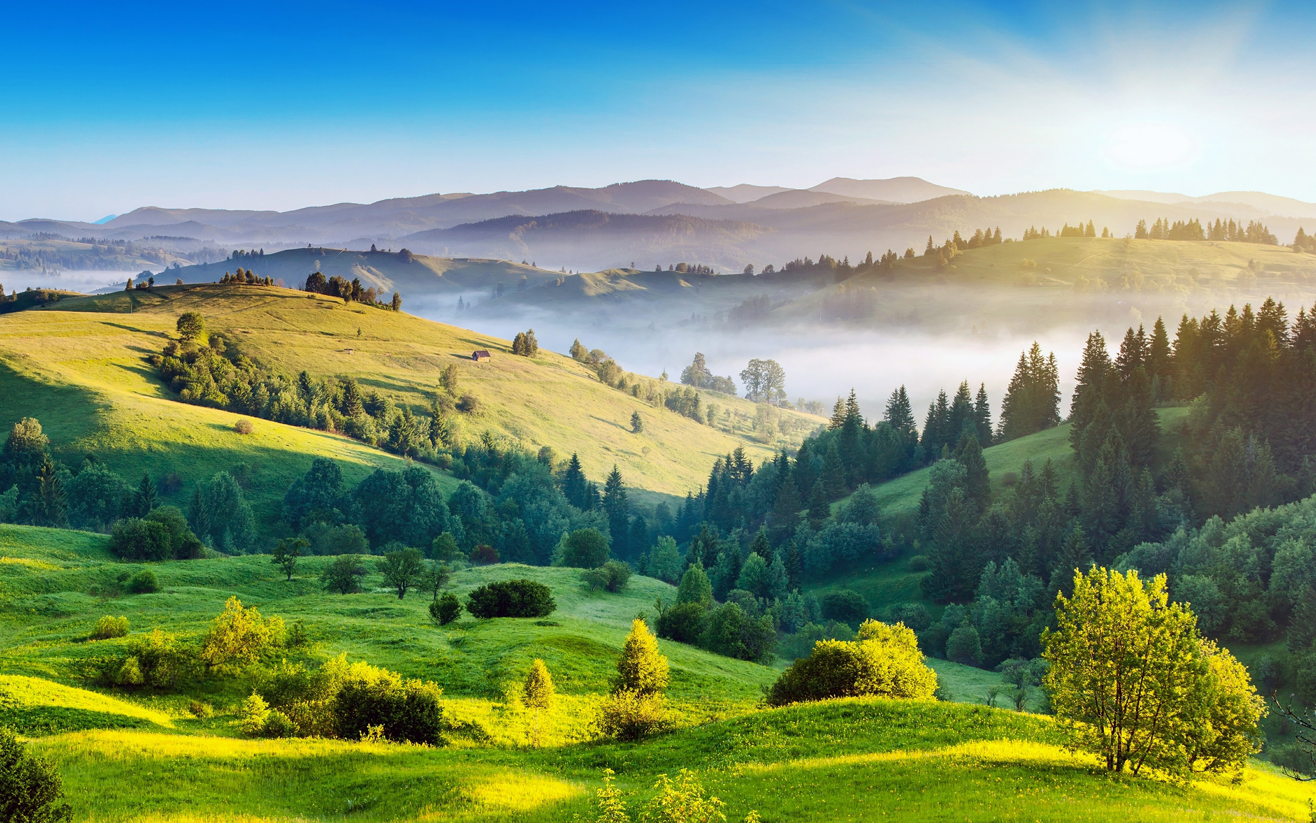 carpathian. I Like To Waste My Time