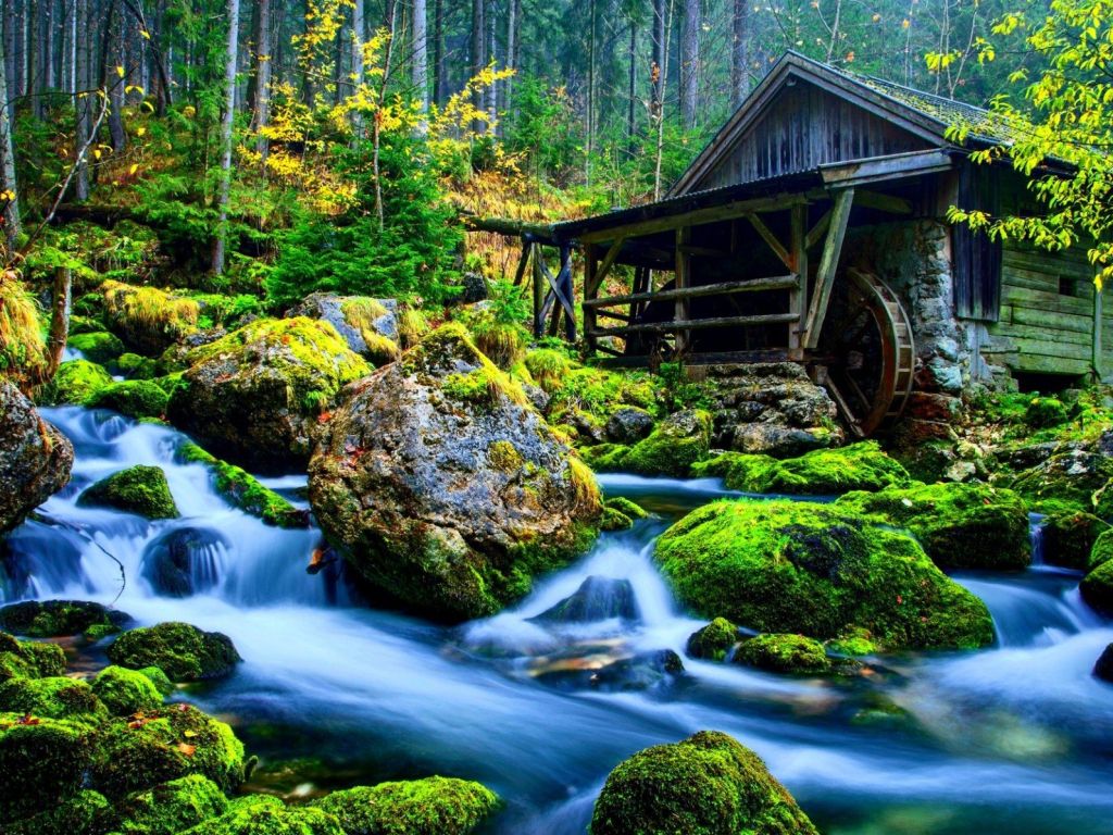 of Nature, 4K wallpaper for your desktop or mobile screen