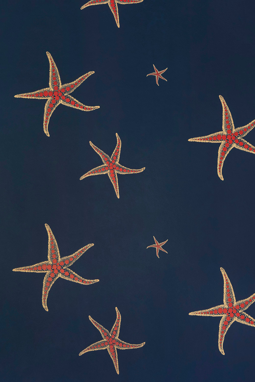 Seastar Wallpapers - Wallpaper Cave