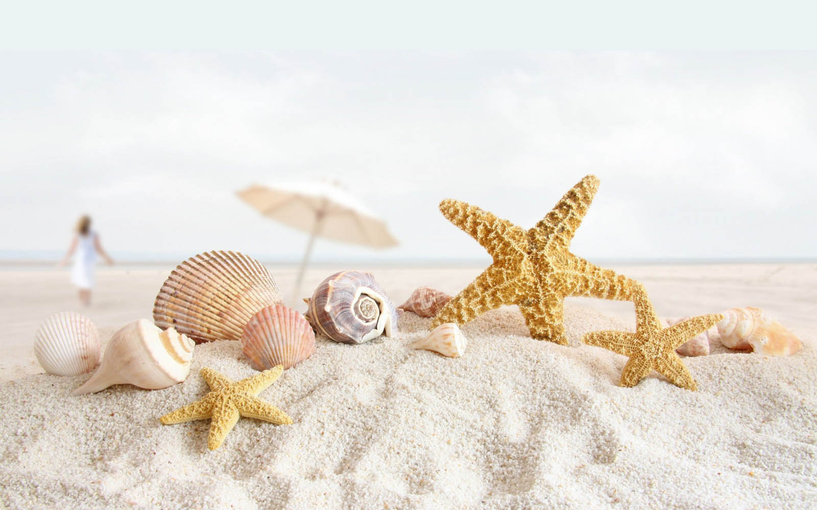 Starfish Background