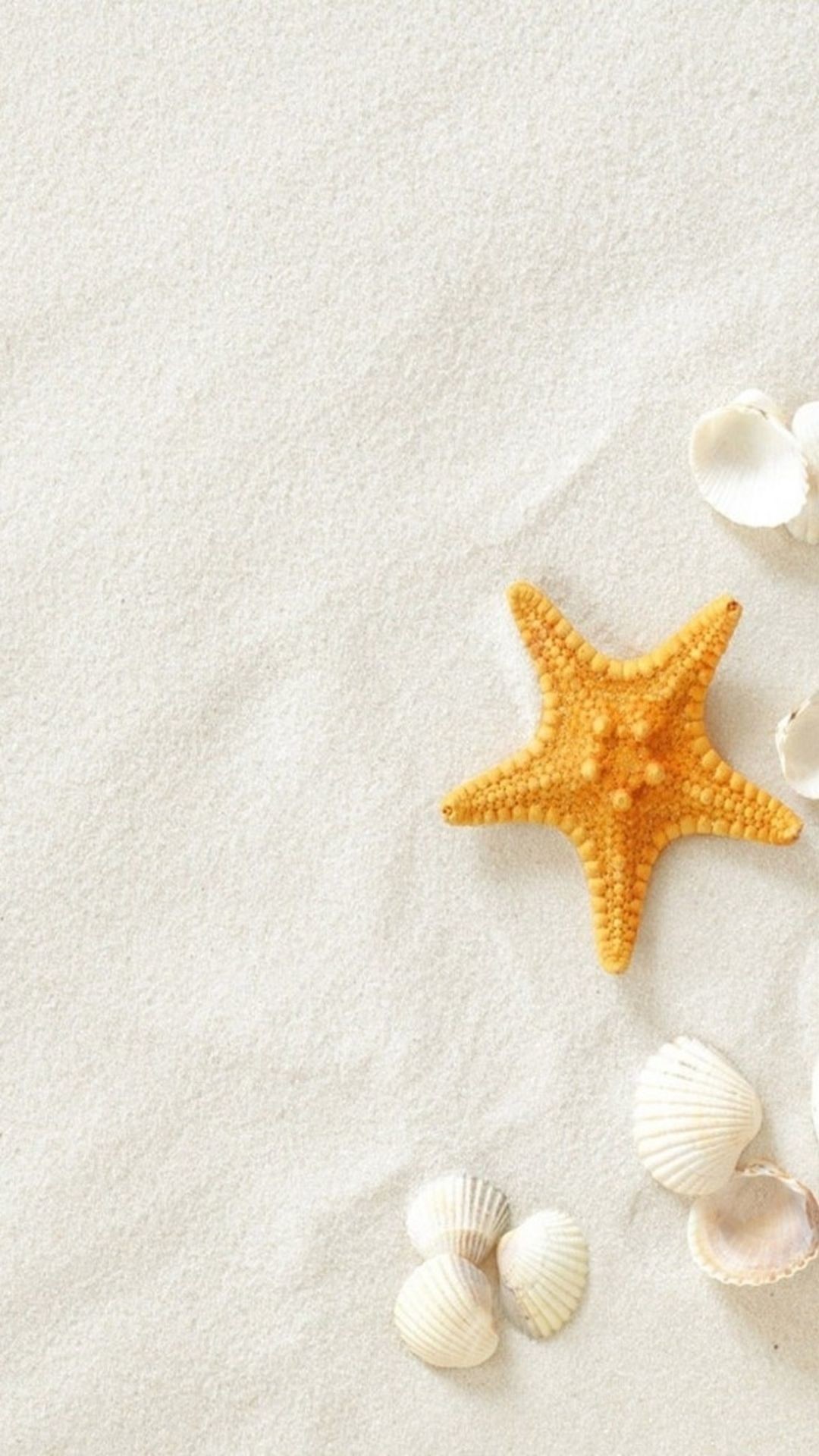 Starfish Background