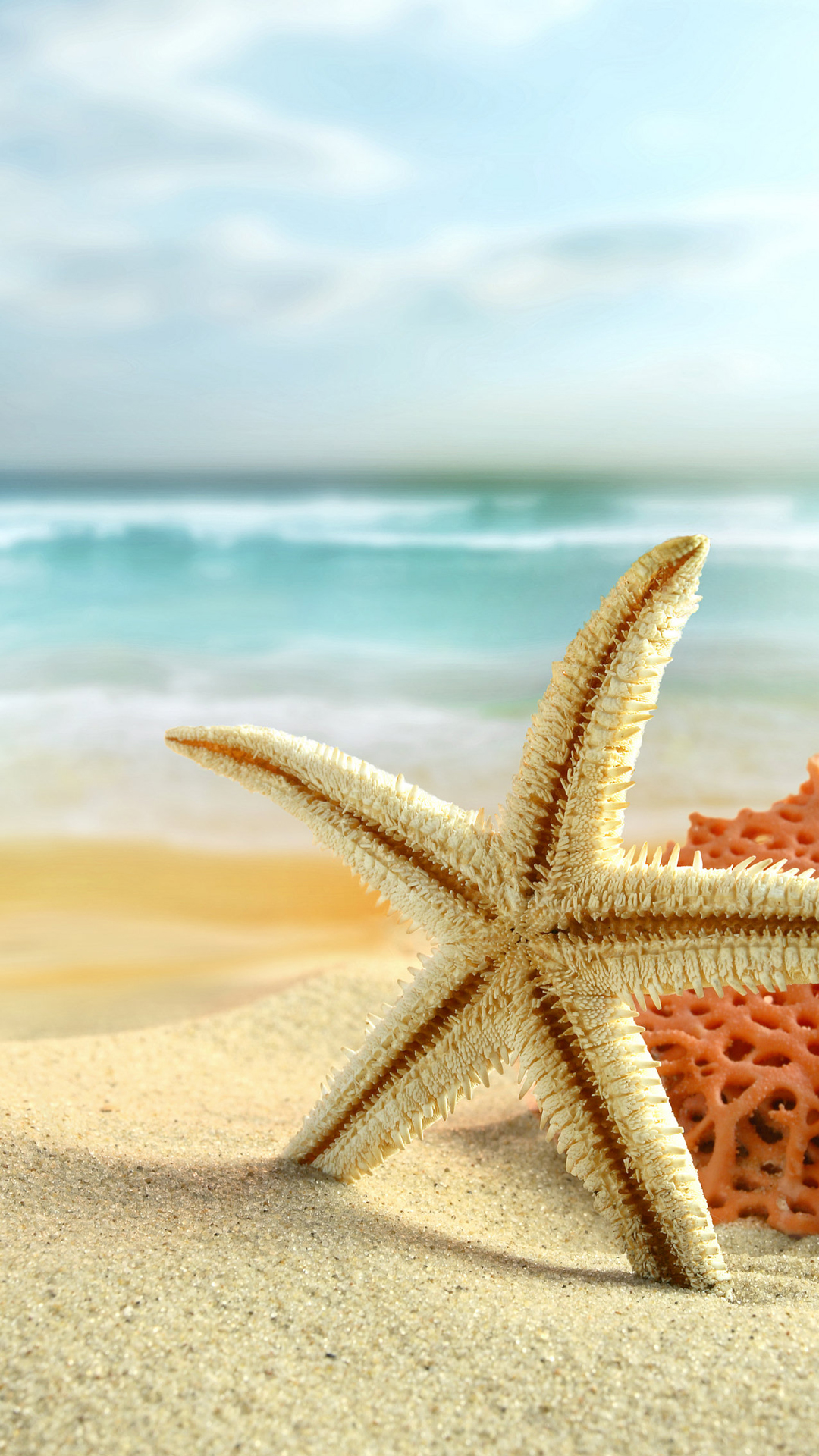 Sea starK wallpaper, free and easy to download