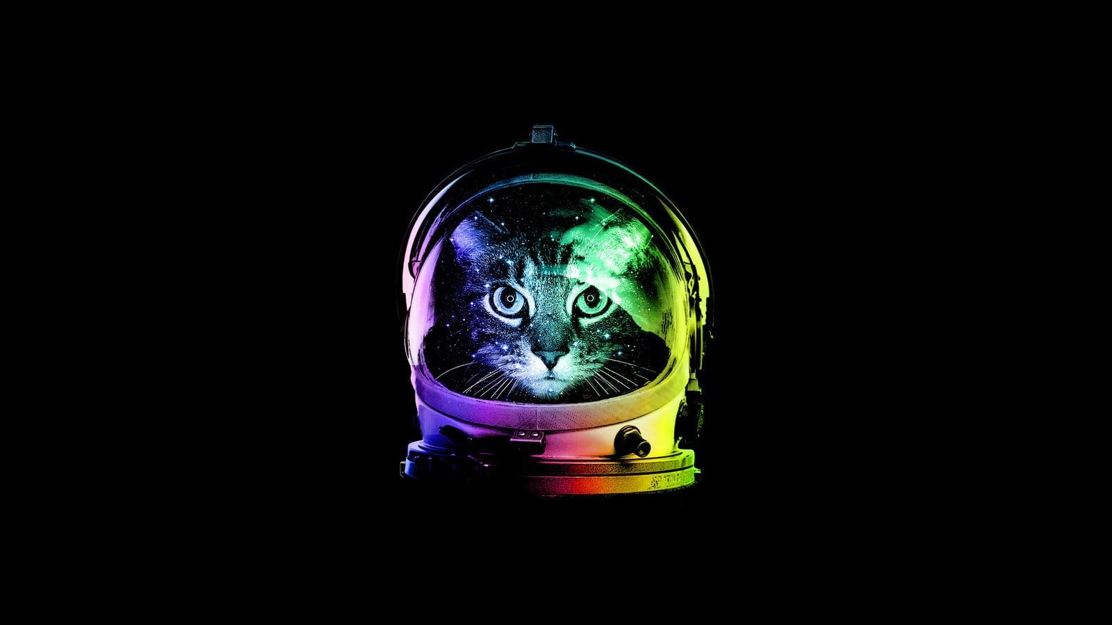 astronaut cat wallpaper