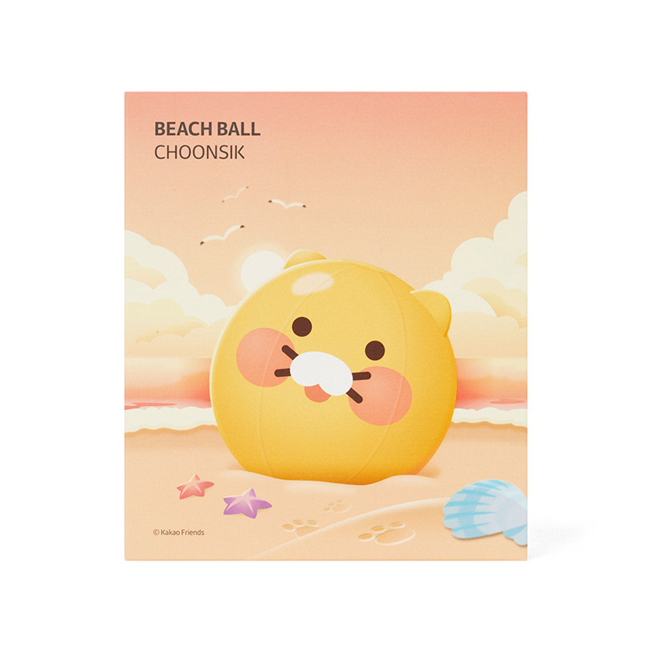 Kakao Friends Beach Ball
