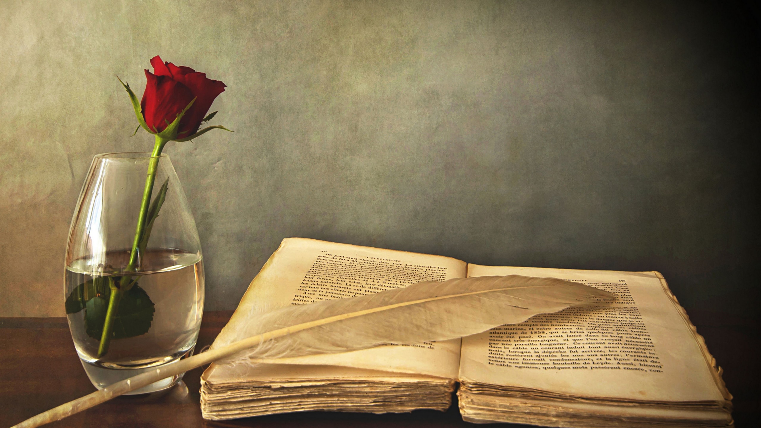 Wallpaper / book, old, pen, table, vase, rose, red, 4k free download