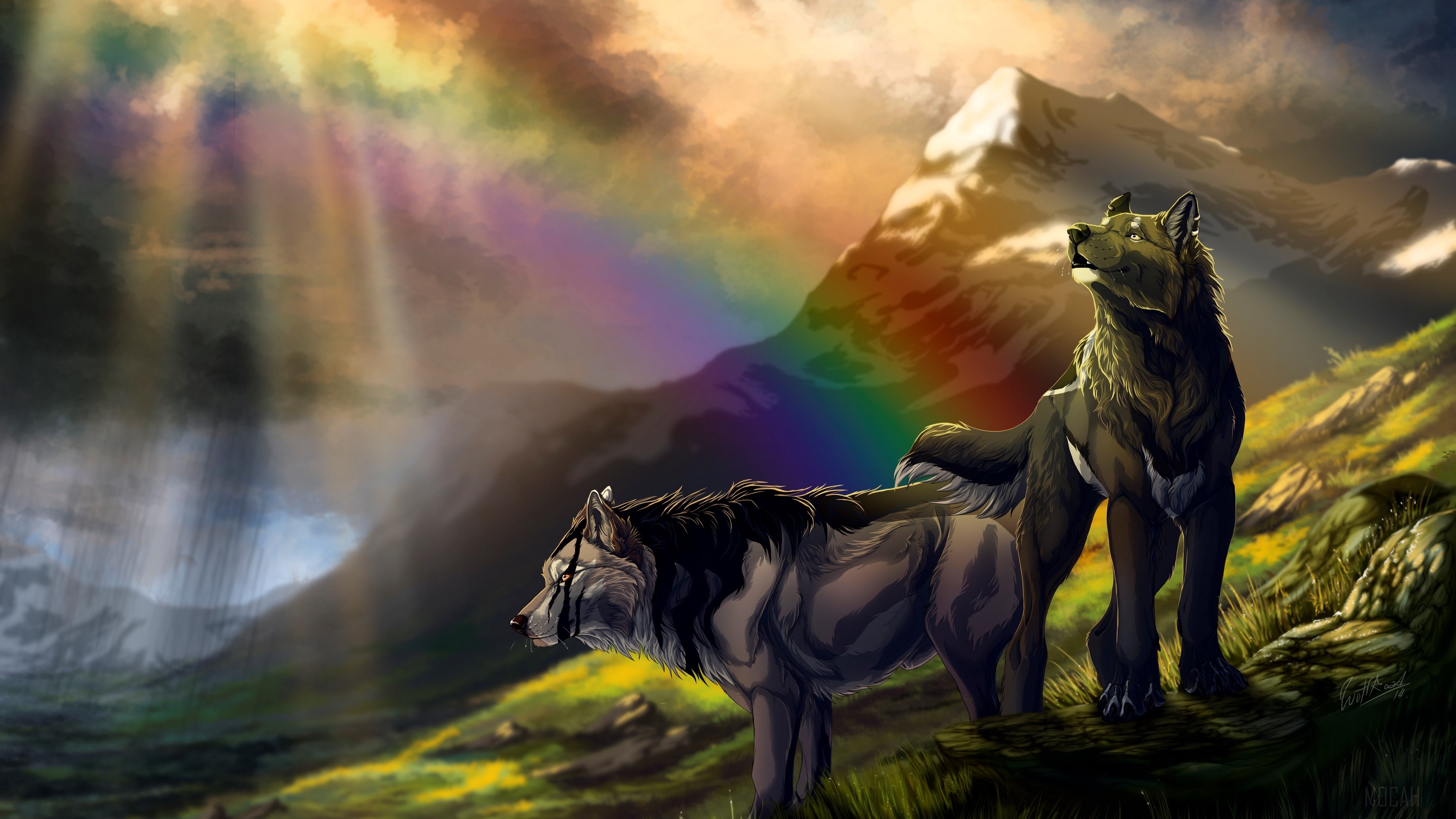 Animal, Mountain, Rainbow, Wolf 4k Gallery HD Wallpaper