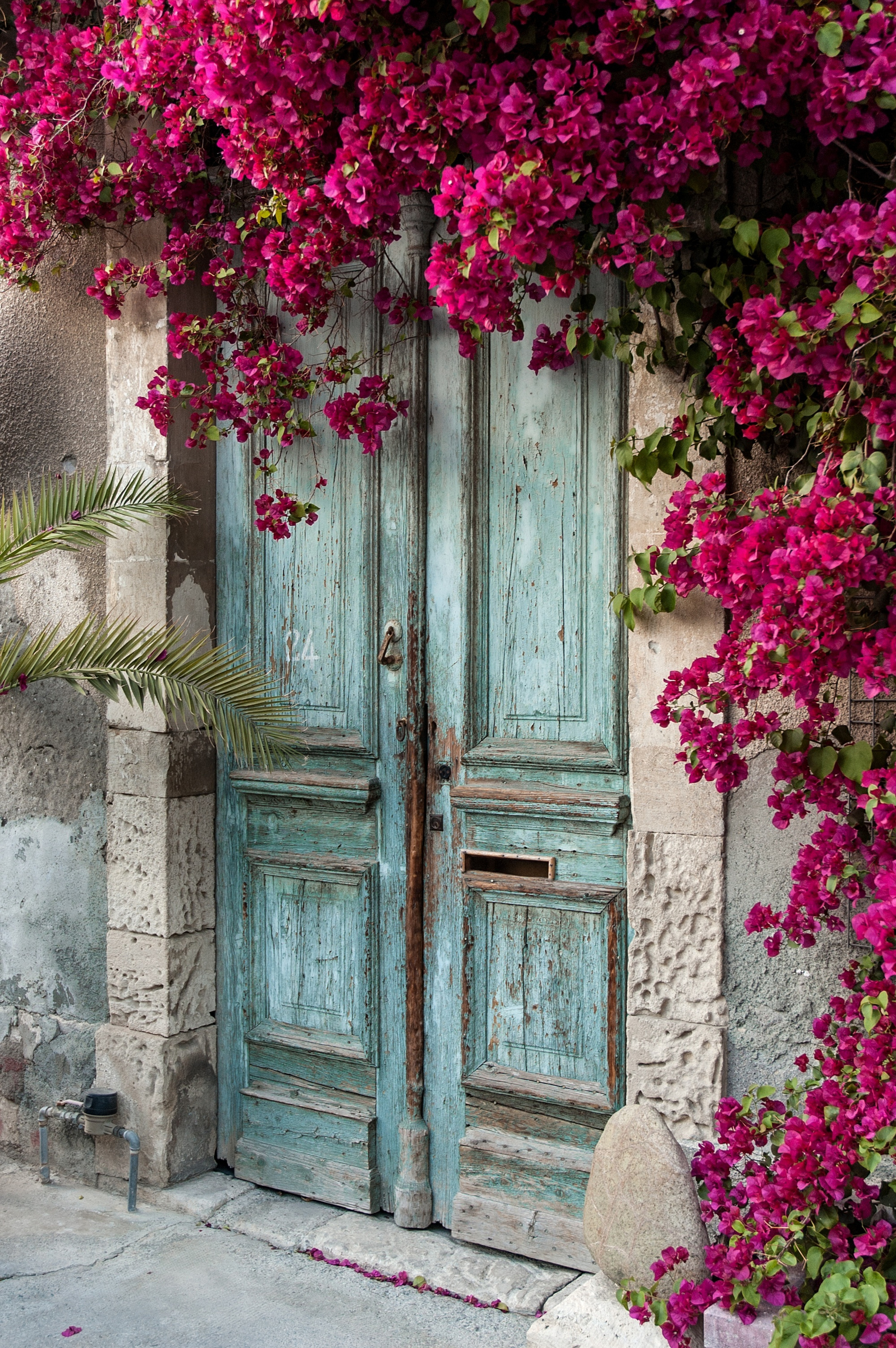Old Wooden Door With Bougainvillea In Cyprus Mural Your Way