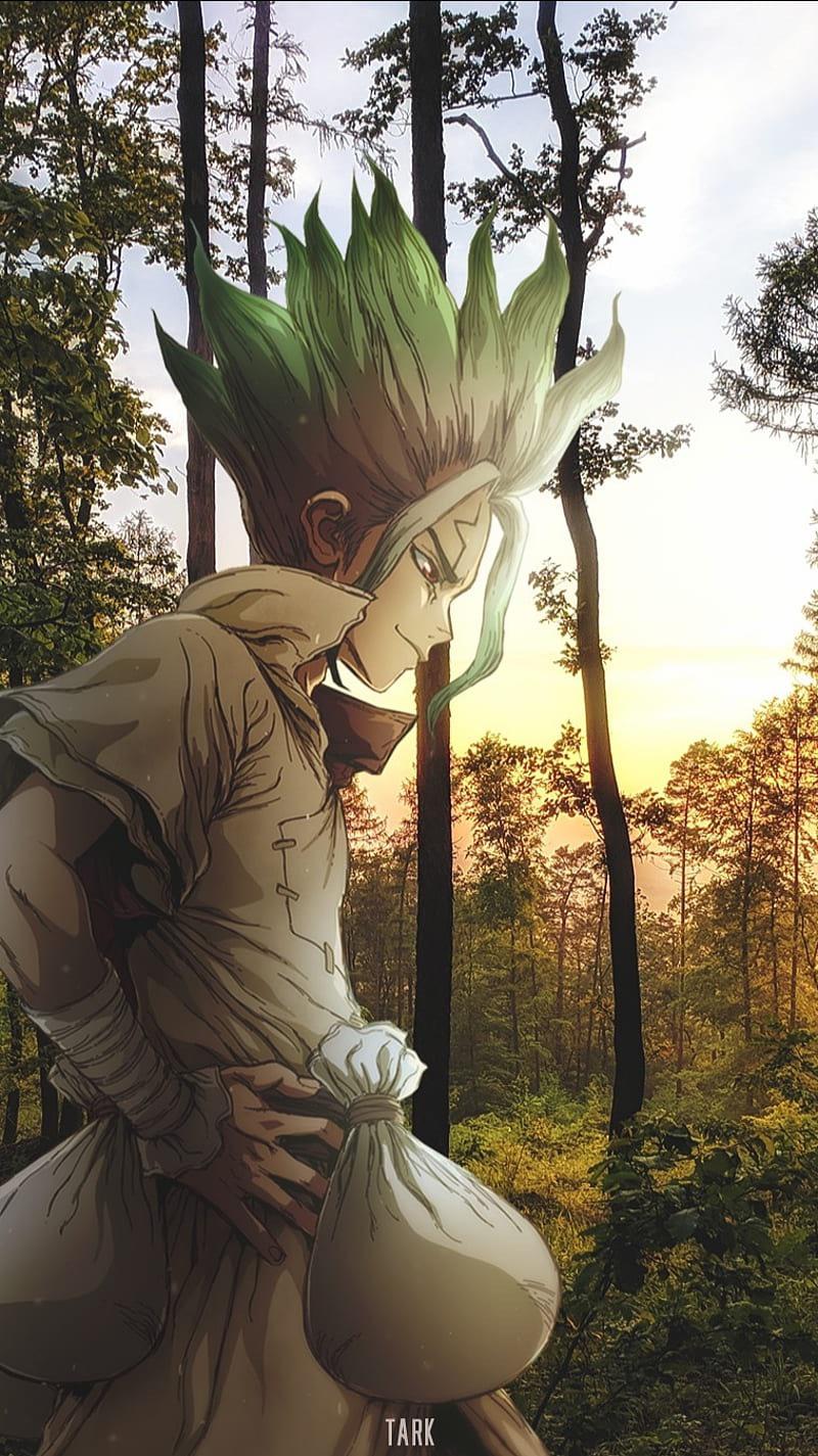 New Dr Stone wallpaper drip