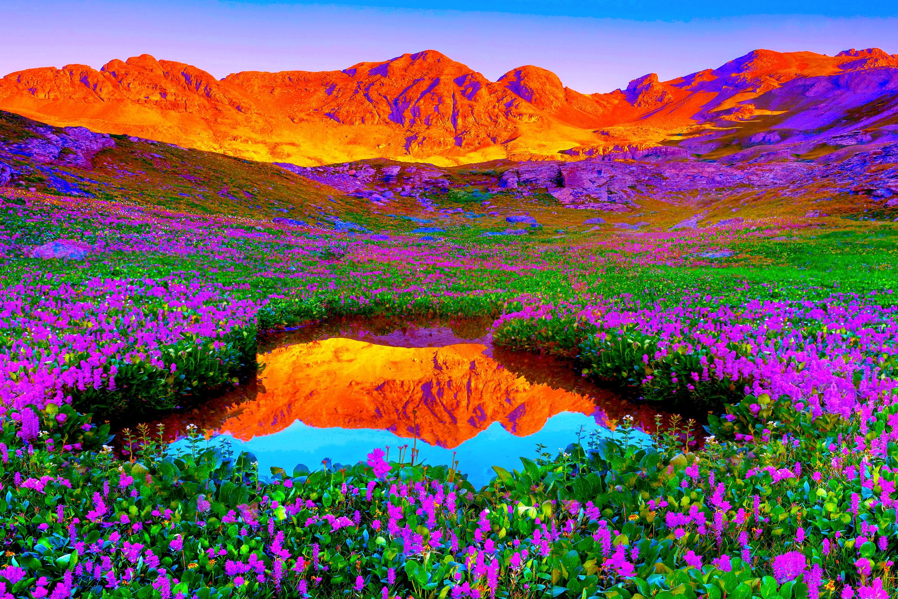Colorful Scenic Wallpaper