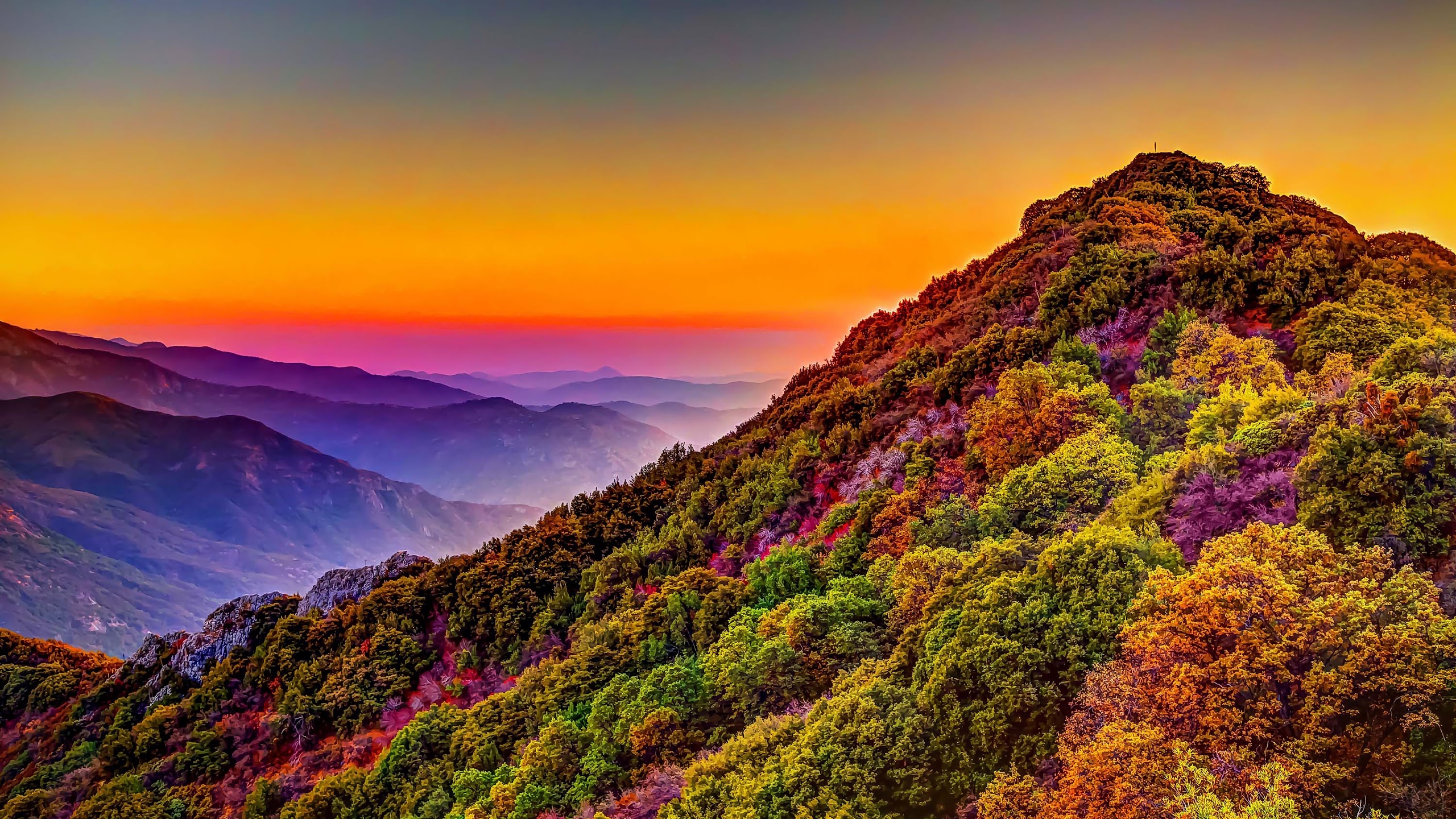 Mountain colorful forest nature sunset scenery Wallpaper Download