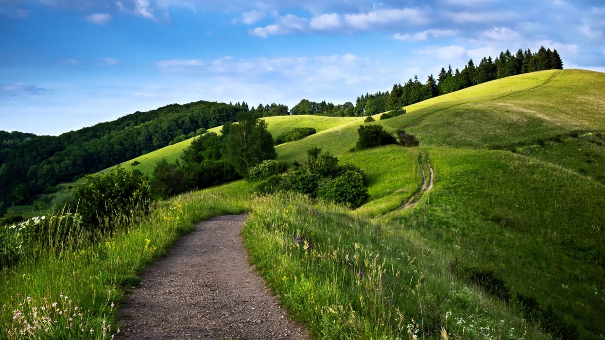 Path way landscape hills mountains forest green nature spring sky trees wallpaperx2160