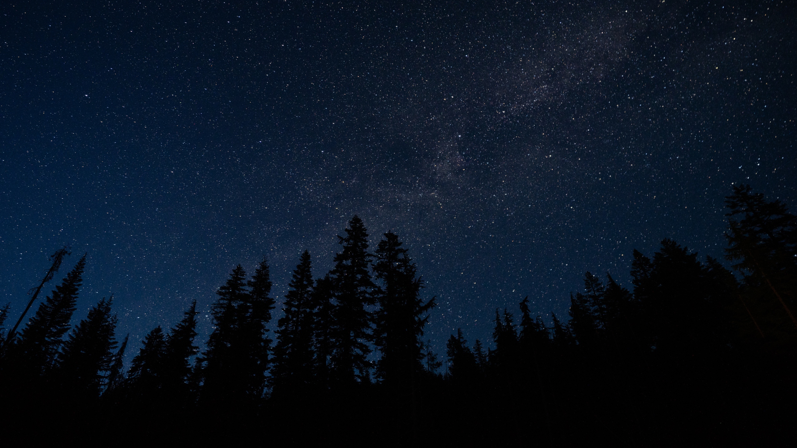 starry sky, trees, night, radi desktop PC and Mac wallpaper