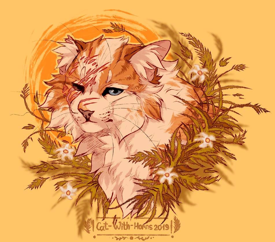 Brightheart By Cat With Horns. Warrior Cats Books, Warrior Cat Drawings, Warrior Cats Art