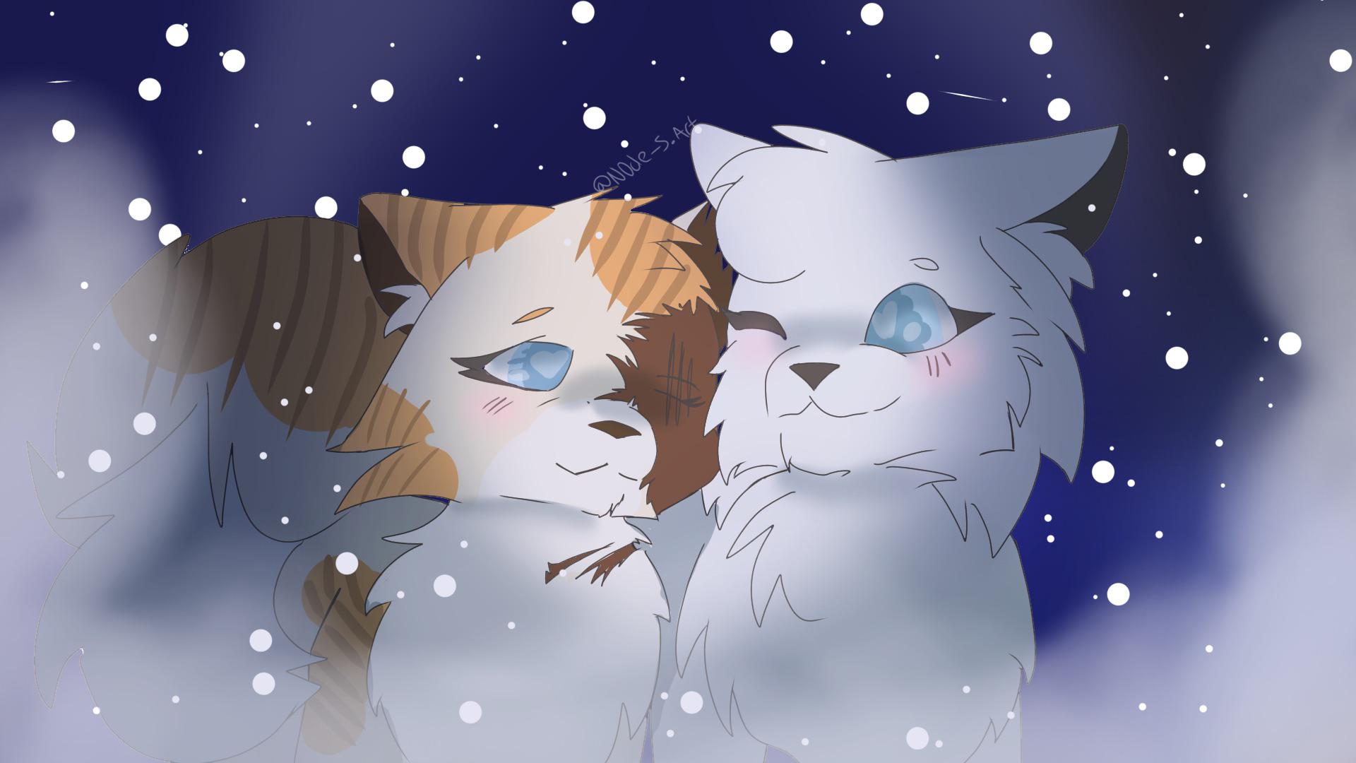 Brightheart and Cloudtail