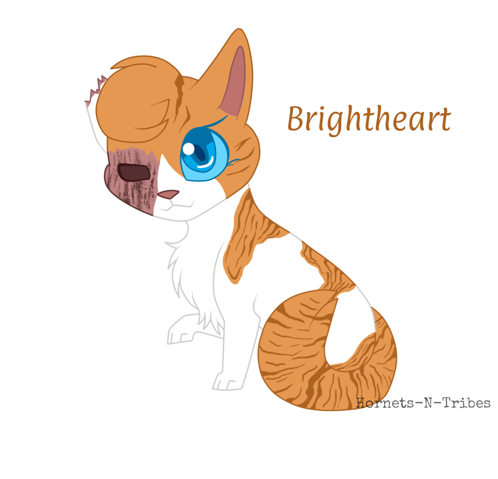 Brightheart Chibi by HornetsNTribes - Fur Affinity [dot] net
