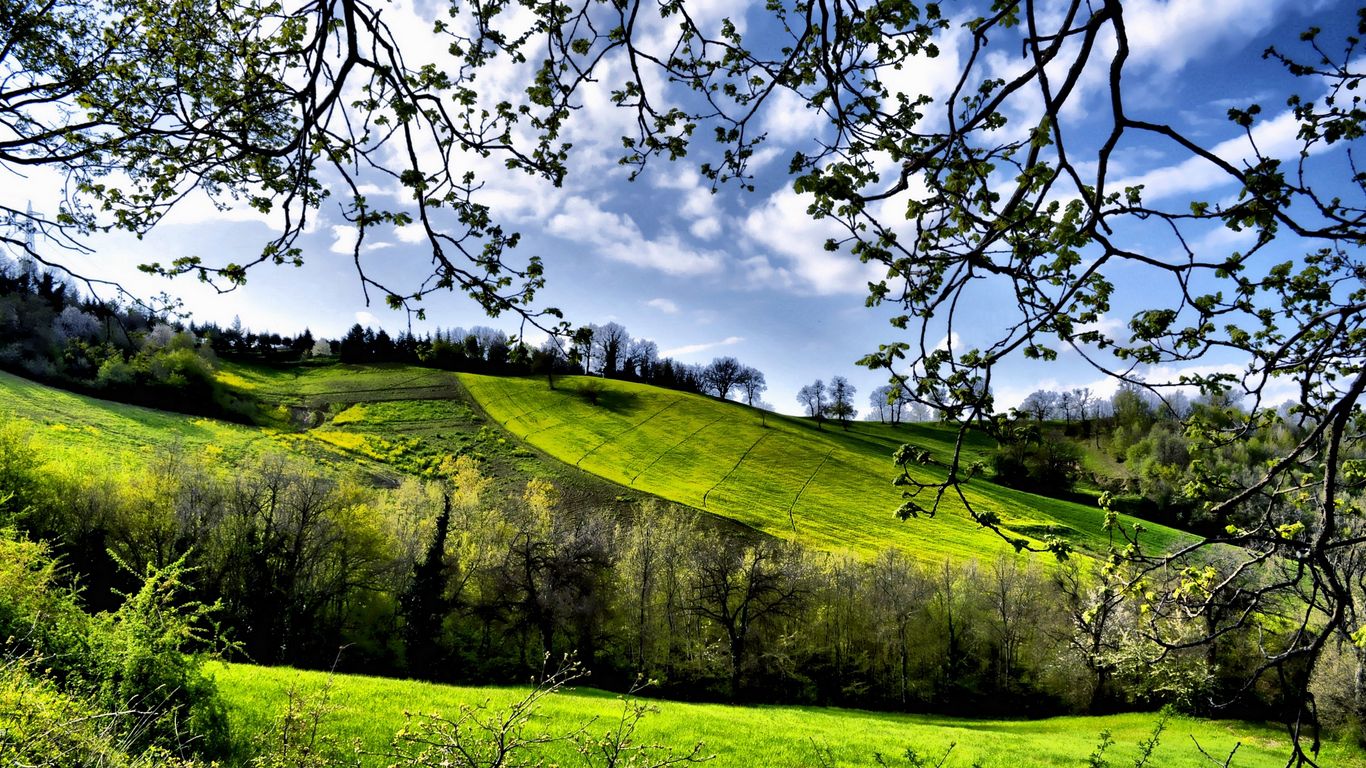 Download wallpaper 1366x768 spring, fields, trees, greenery tablet, laptop HD background