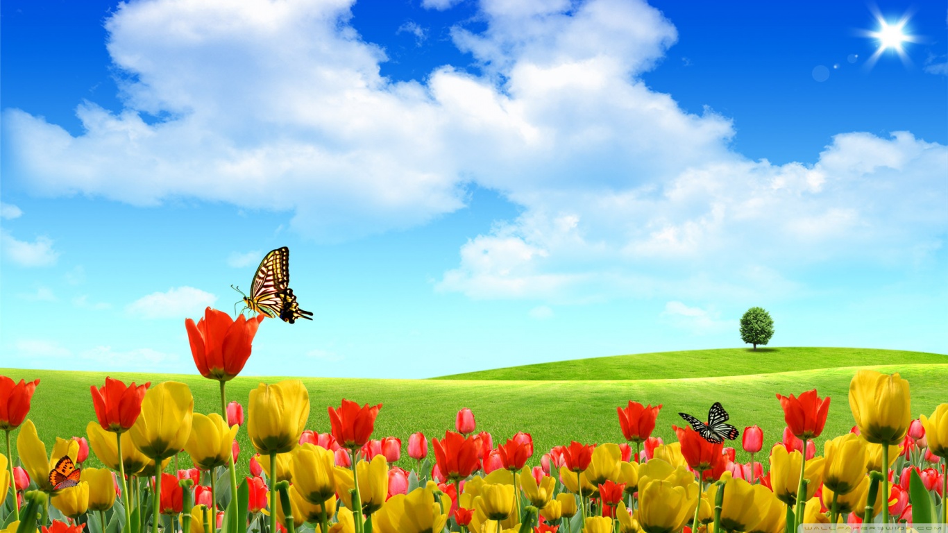 Dreamscape Spring Ultra HD Desktop Background Wallpaper for 4K UHD TV, Tablet