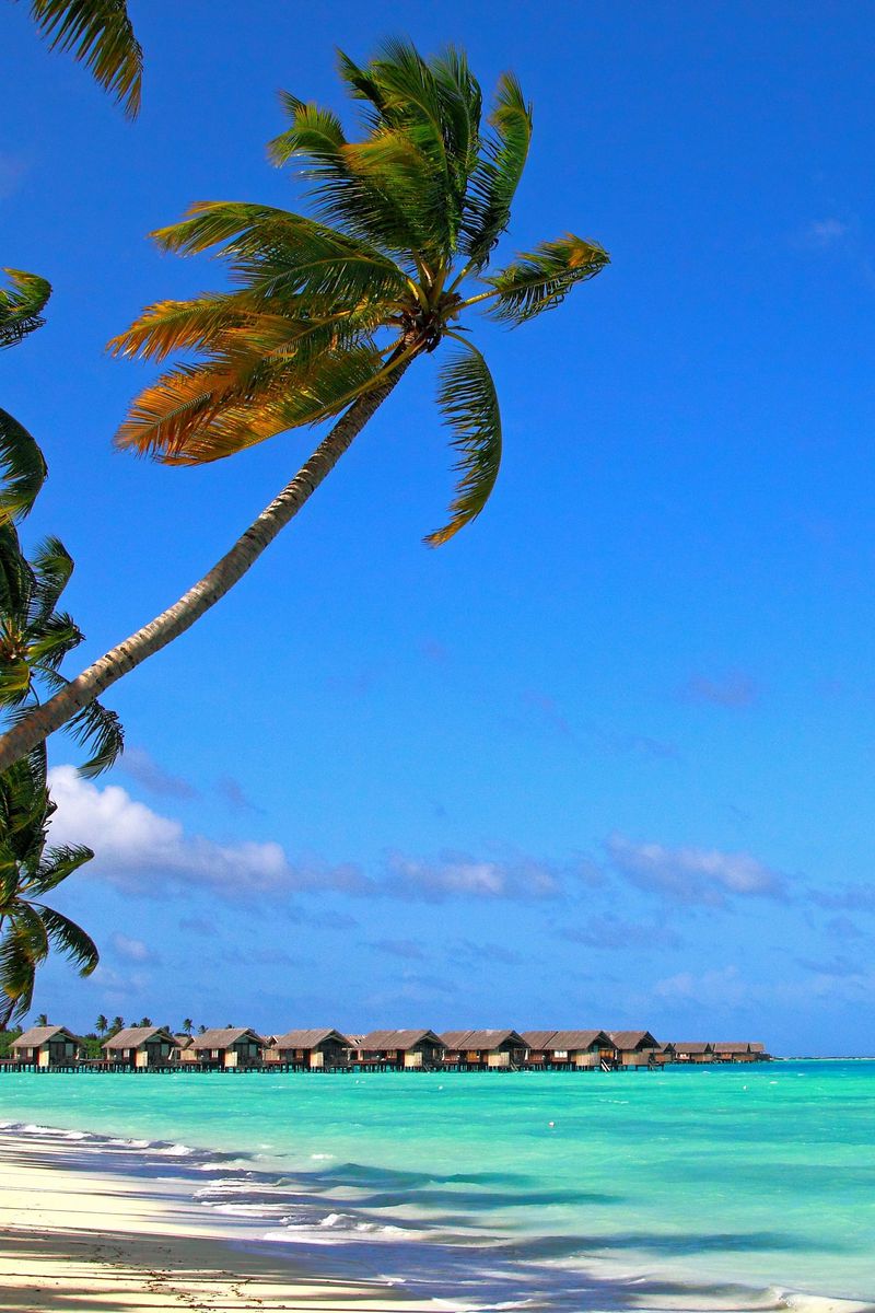 Download Wallpaper 800x1200 Maldives, Tropical, Beach, Summer Iphone 4s 4 For Parallax HD Background