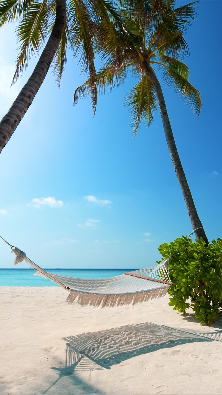 Sea, Beach, Hammock, Palm Trees, Tropical, Summer 750x1334 IPhone 8 7 6 6S Wallpaper, Background, Picture, Image