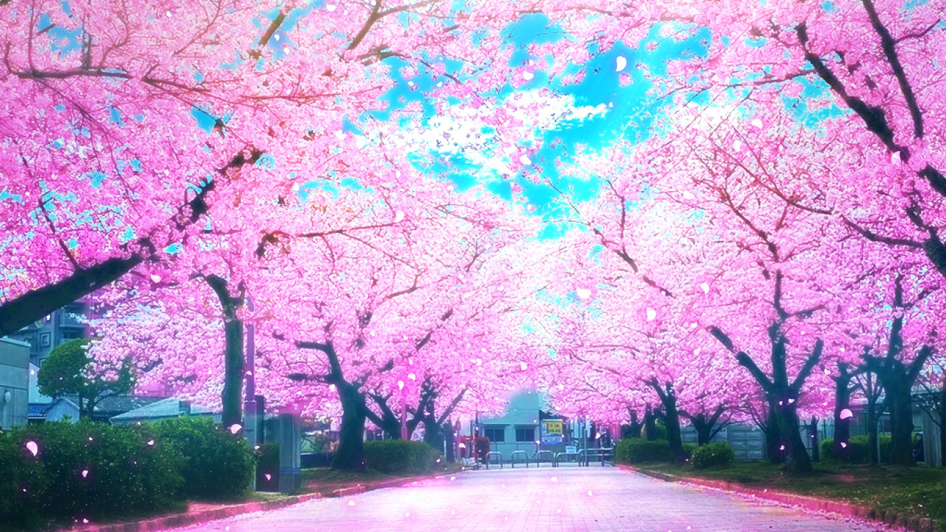 Download wallpaper road, spring, Sakura, section art in resolution 1366x768