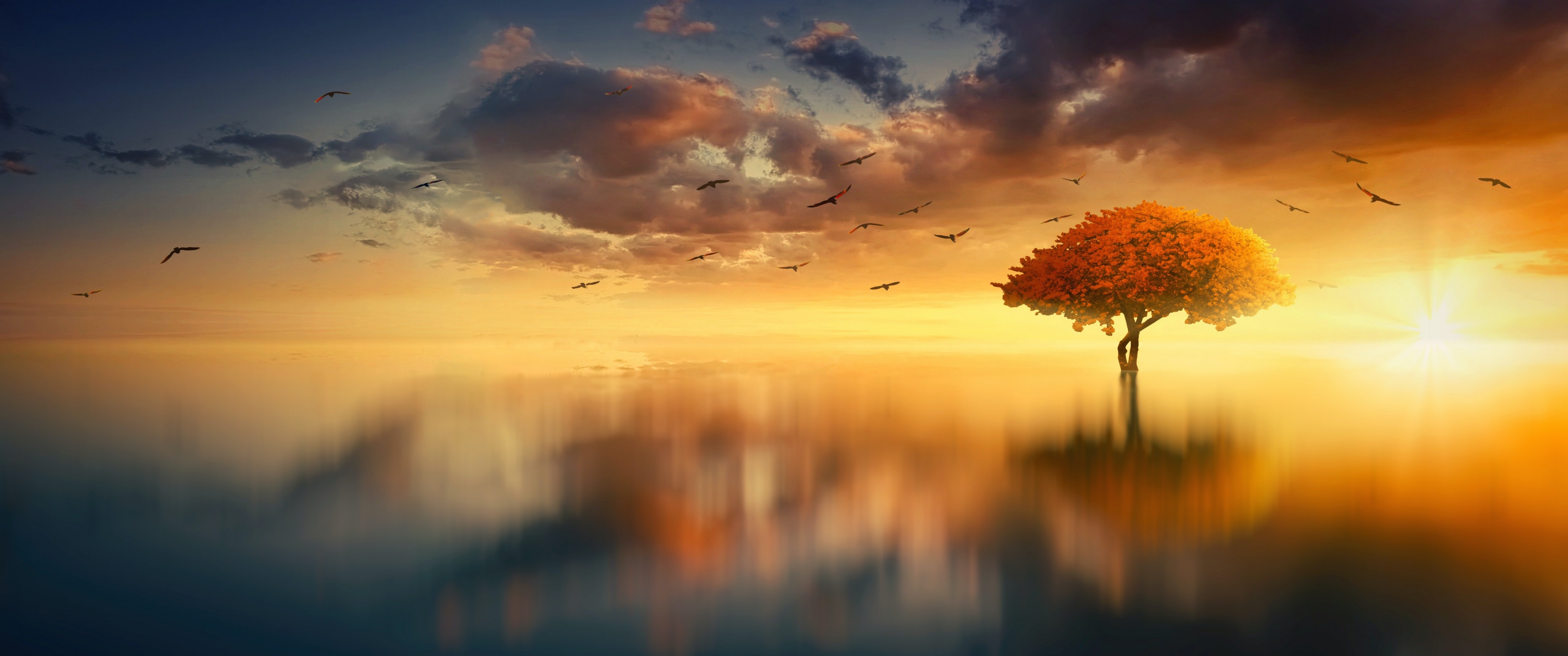 Tree Wallpaper 4K, Sunrise, Birds, Nature