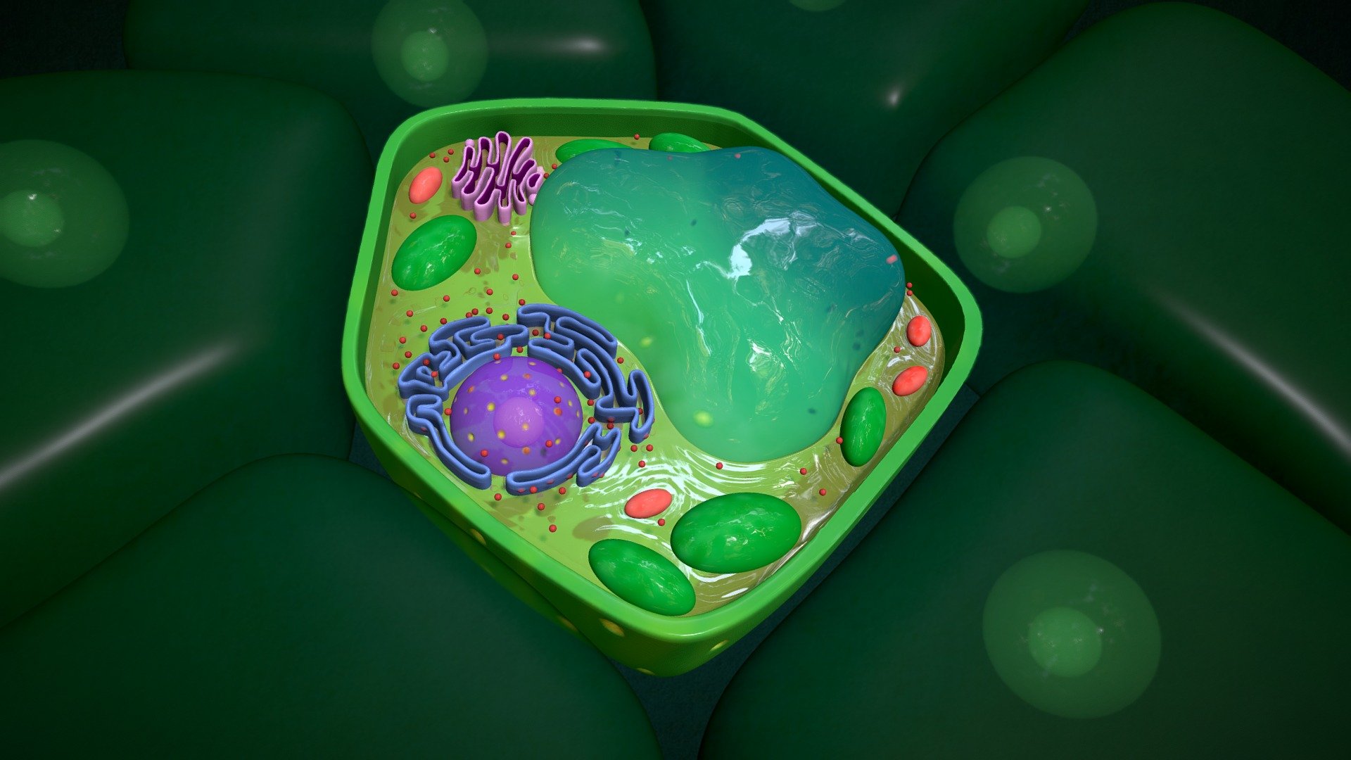 Plant Cells Wallpapers Wallpaper Cave plant-cells-wallpapers-wallpaper-cave