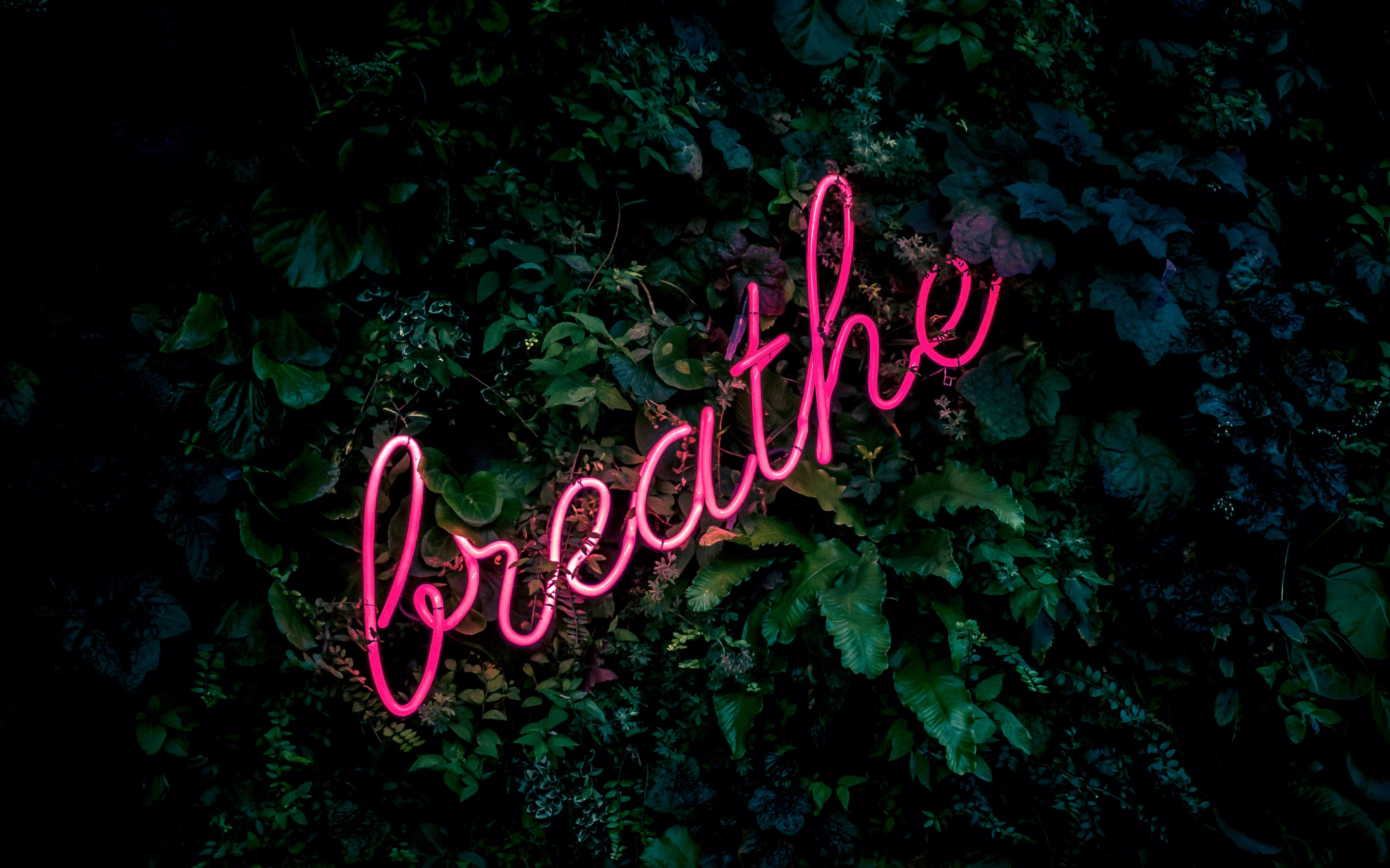 Breathe Wallpaper 4K, Neon sign, Quotes