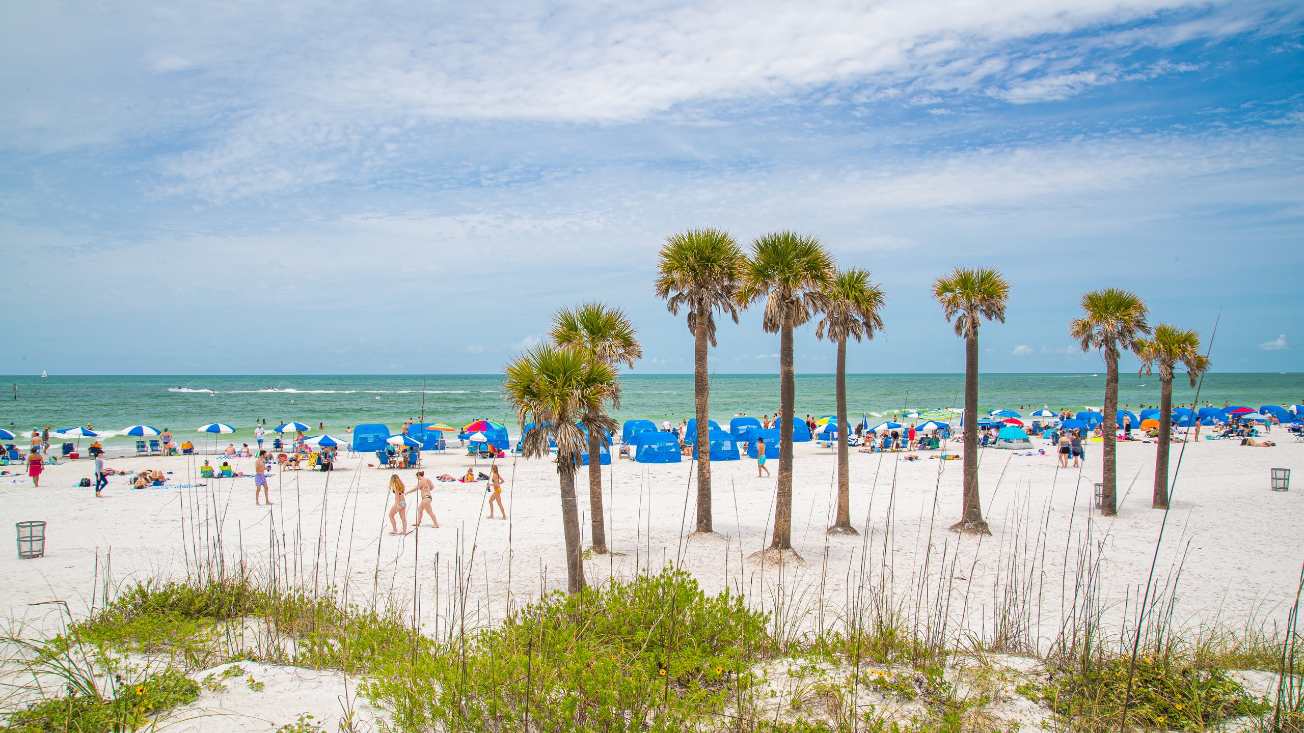 Visit Clearwater Beach: 2023 Travel Guide for Clearwater Beach, St. Petersburg