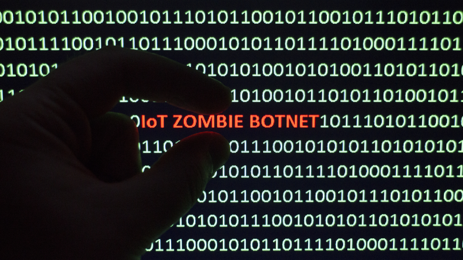 How Do Botnets Operate and What Does a Botnet Attack Look Like?