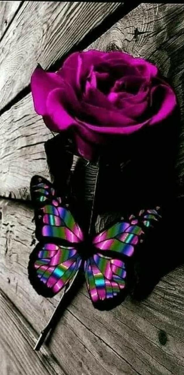 Rose butterfly wallpaper