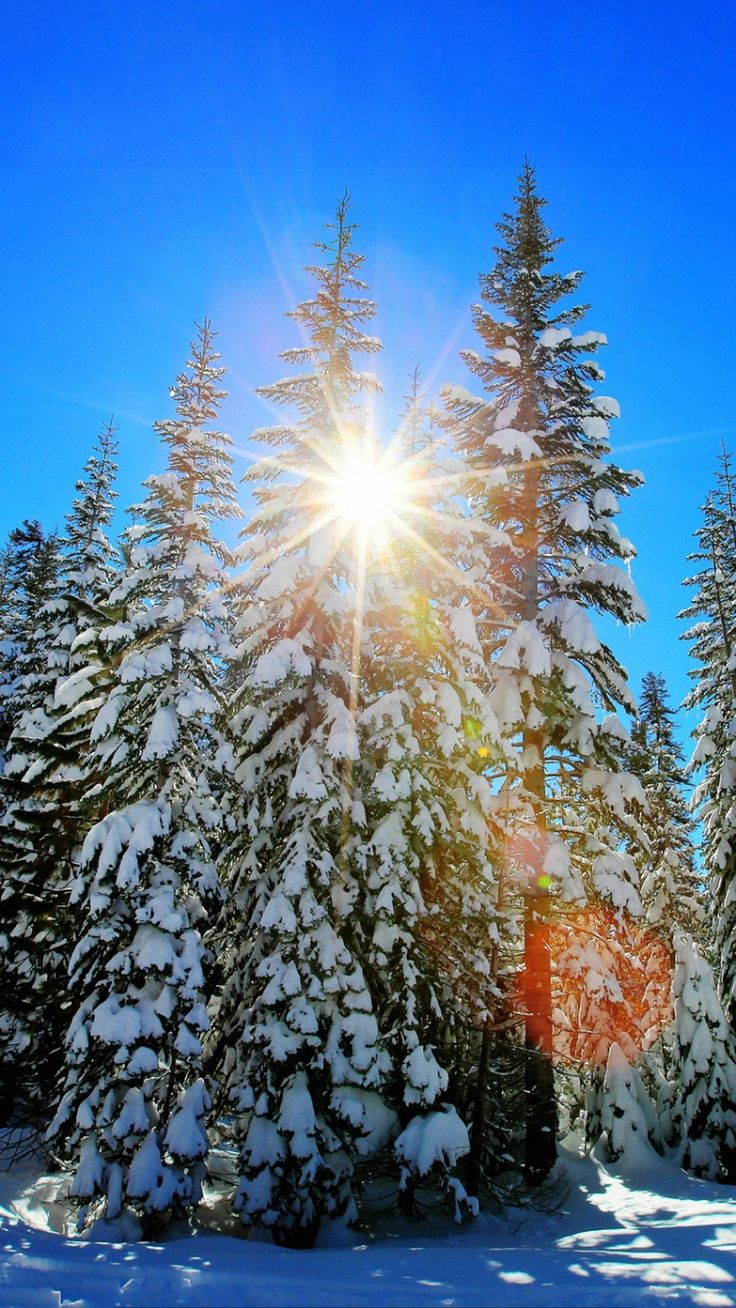 Winter Background for iPhone Download Free. iPhone wallpaper winter, Winter wallpaper, Christmas aesthetic wallpaper