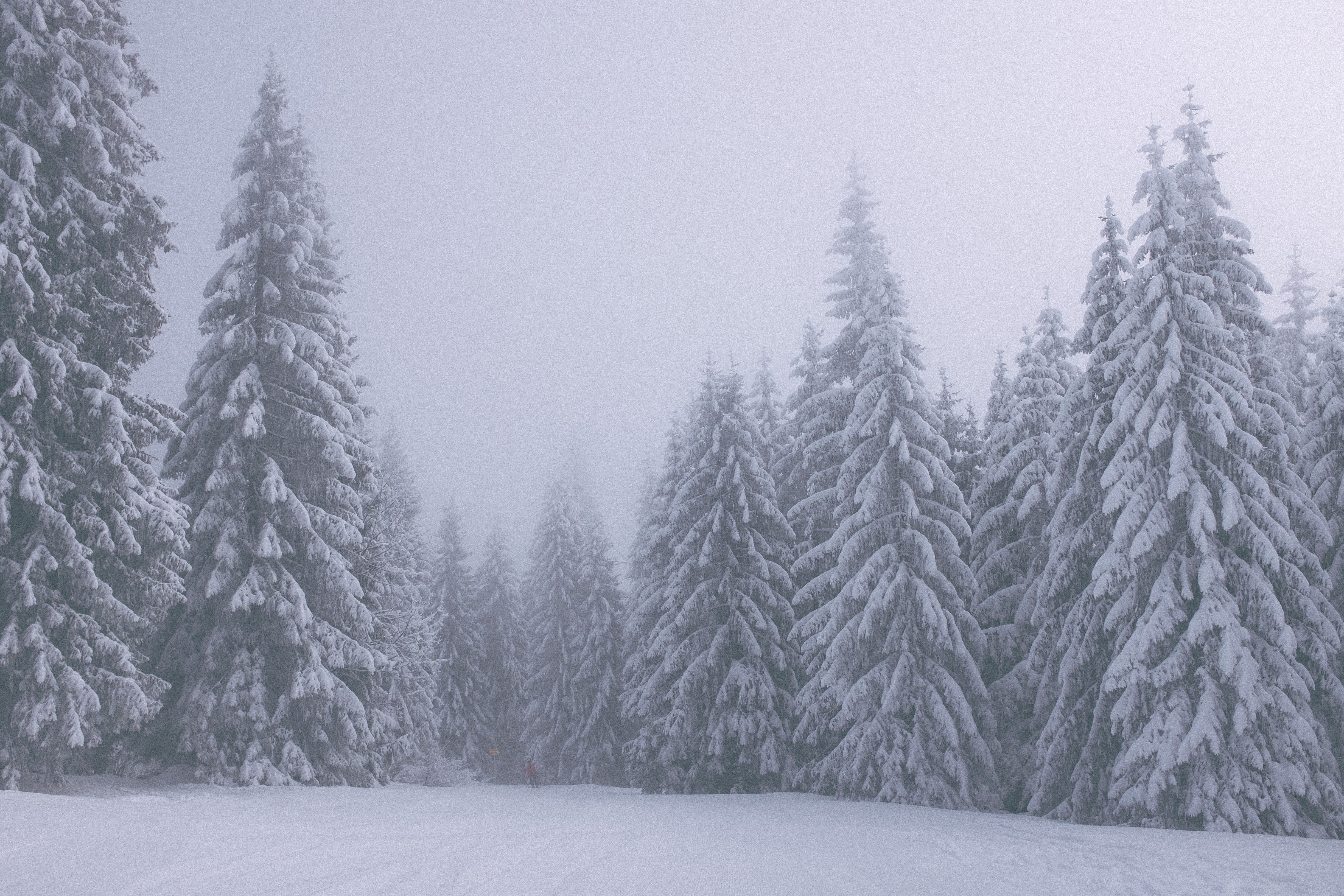 Wintertime Photo, Download The BEST Free Wintertime & HD Image