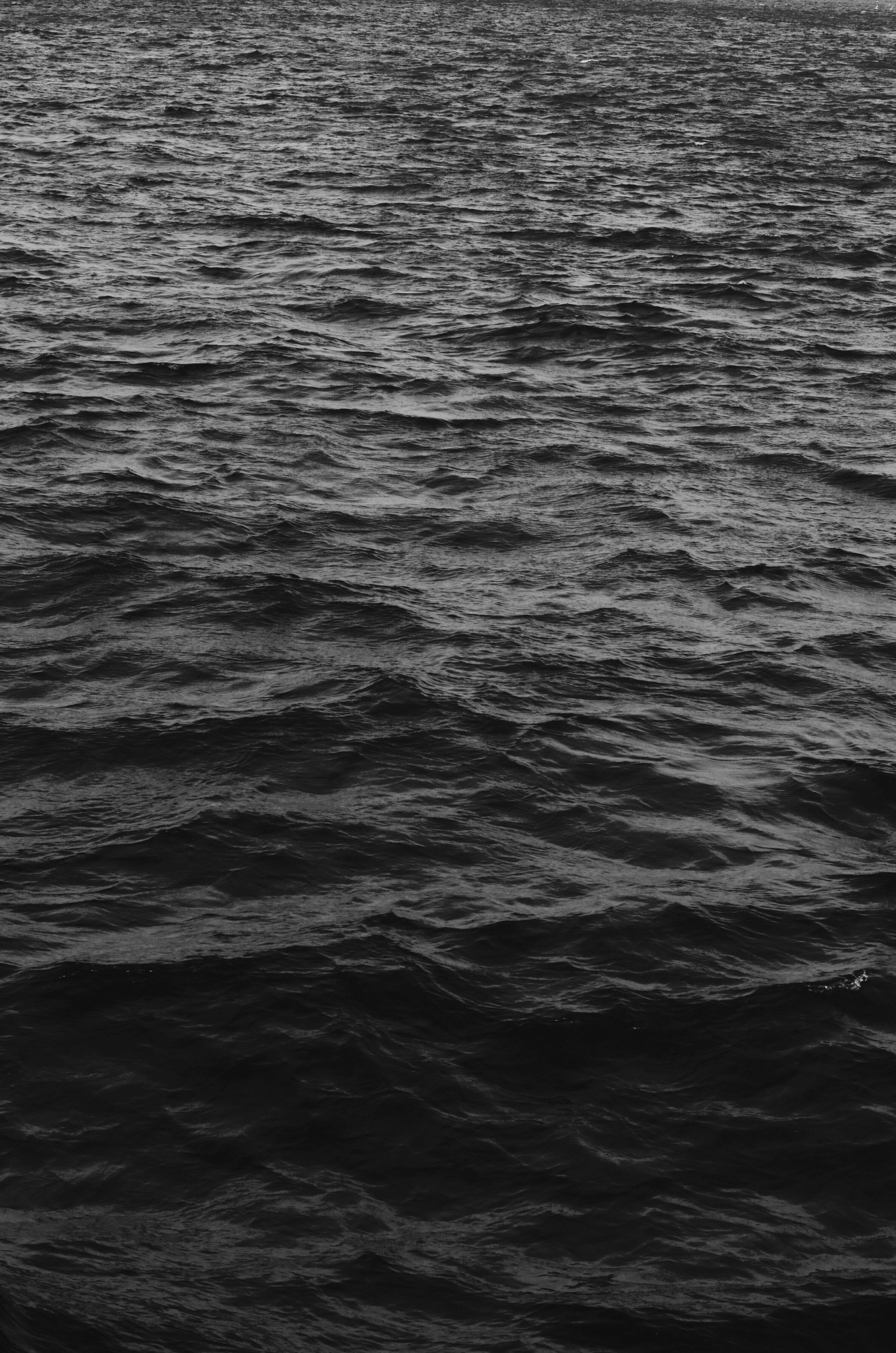 Ocean Black And White Photo, Download The BEST Free Ocean Black And White & HD Image