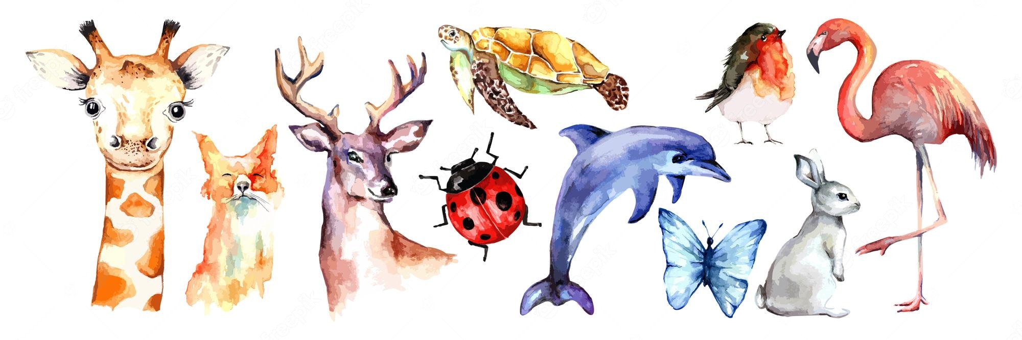 Premium Vector. Cute watercolor animals and bugs or bird vector set hand drawn watercolor wild animals wallpaper or background for kids coloring book and kindergarten zoo or forest
